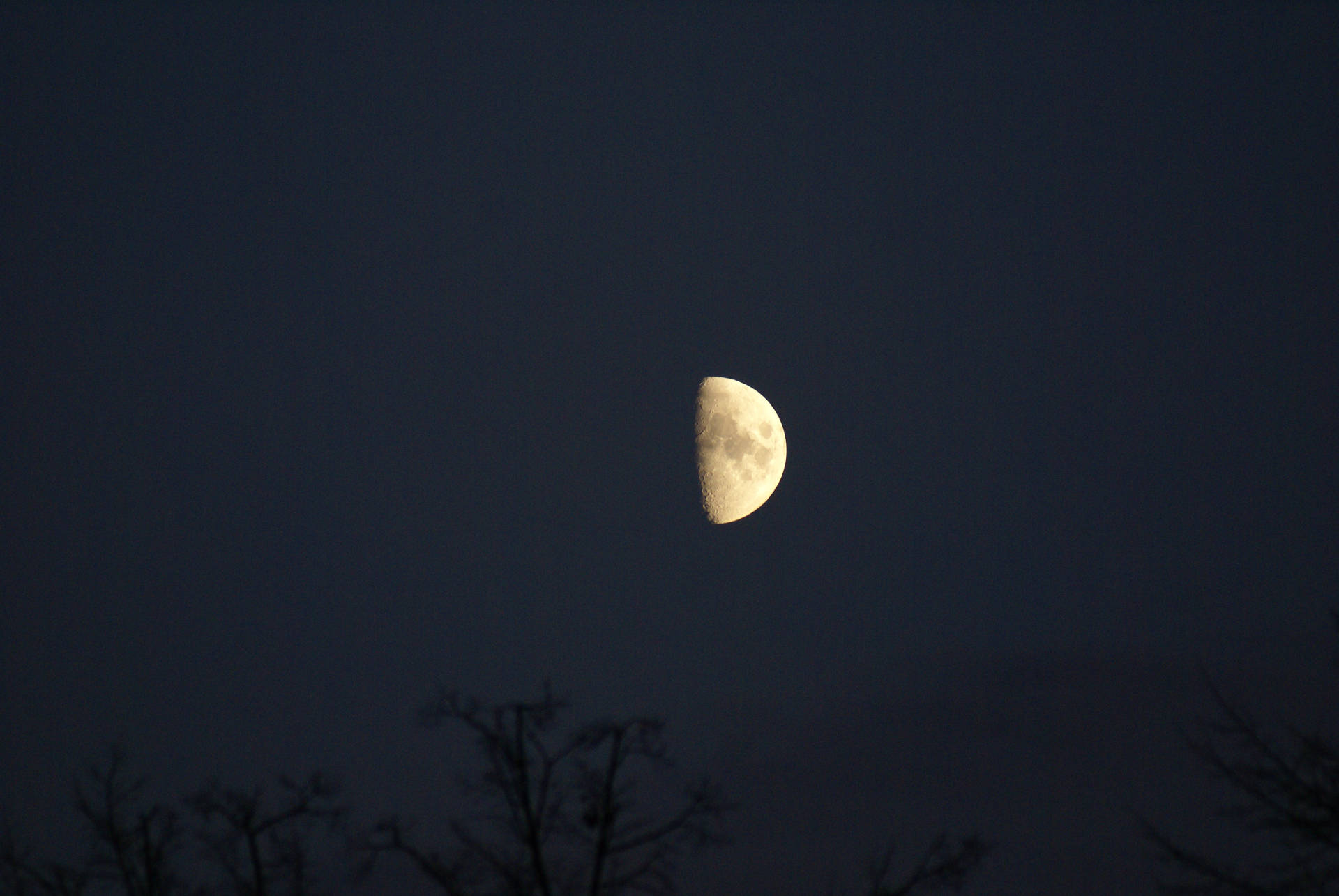 Medialuna En Un Cielo Oscuro Iluminado Por La Luna Fondo de pantalla