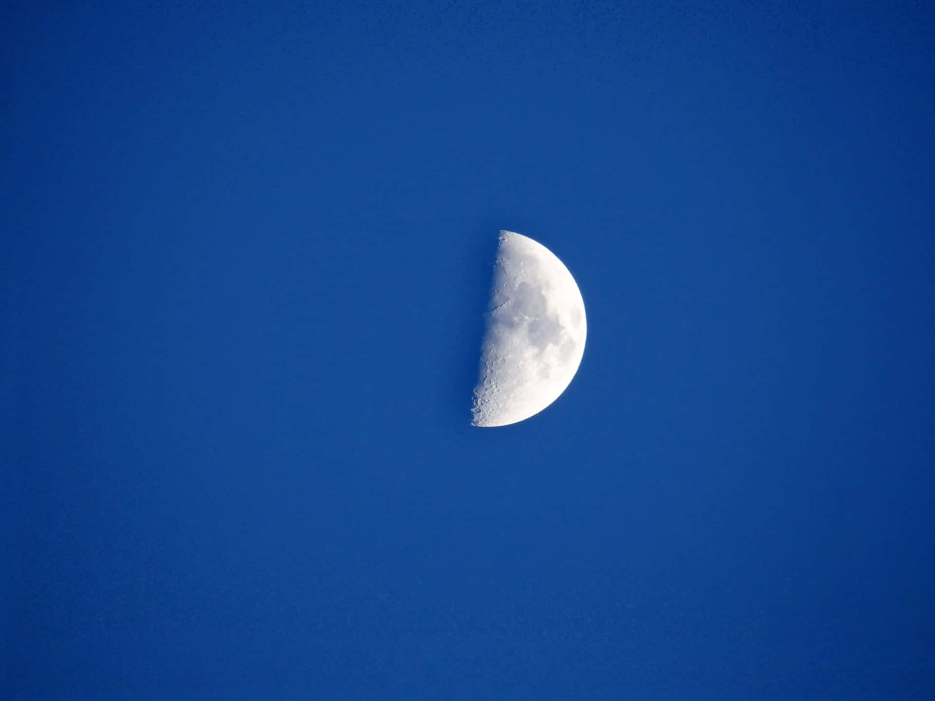 11,609 Half Moon Stock Photos, High-Res Pictures, and Images