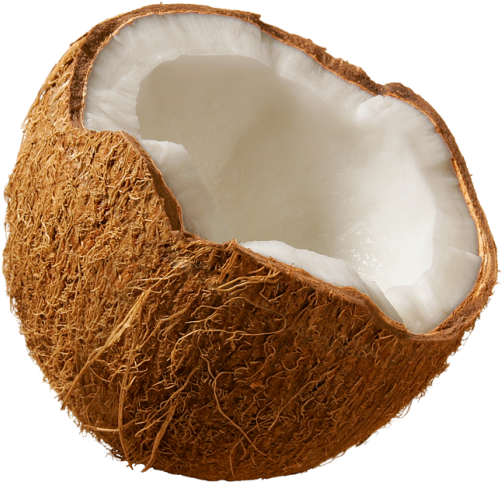 Half Open Coconutwith White Flesh PNG