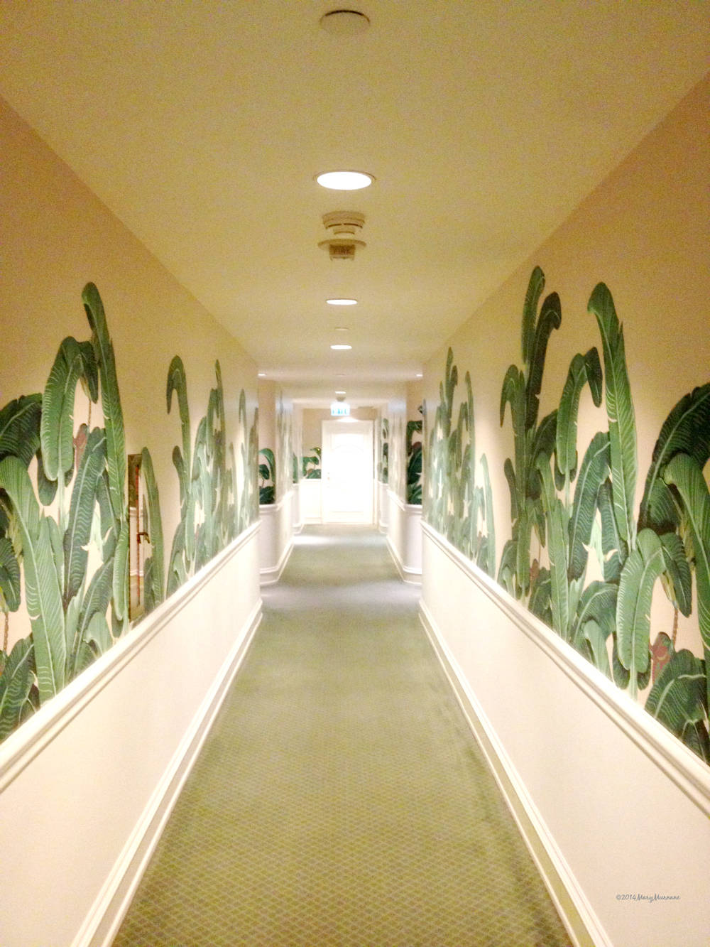 Hall Way Of Beverly Hills Hotel Wallpaper