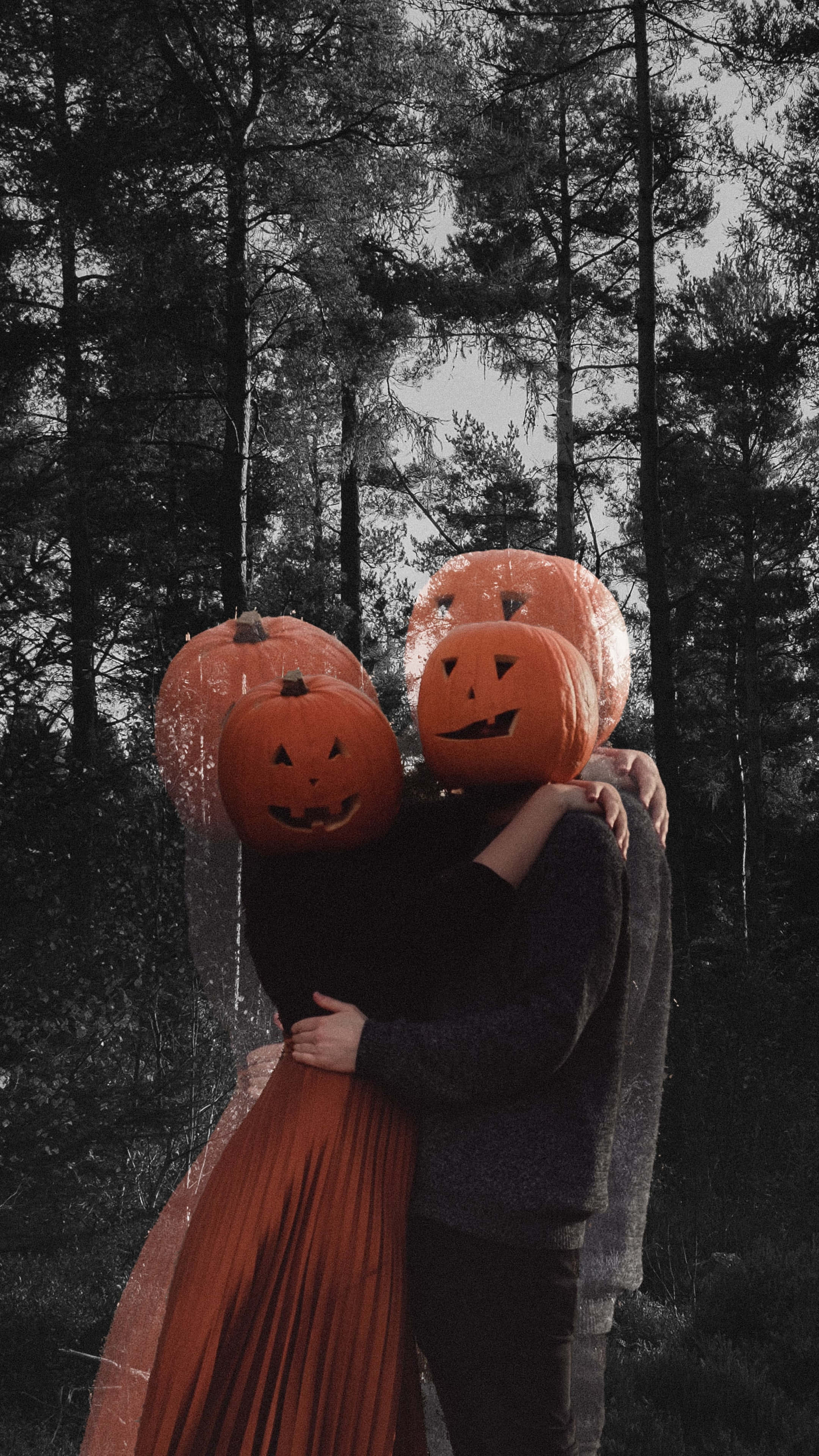 Halloween 2160 X 3840 Background