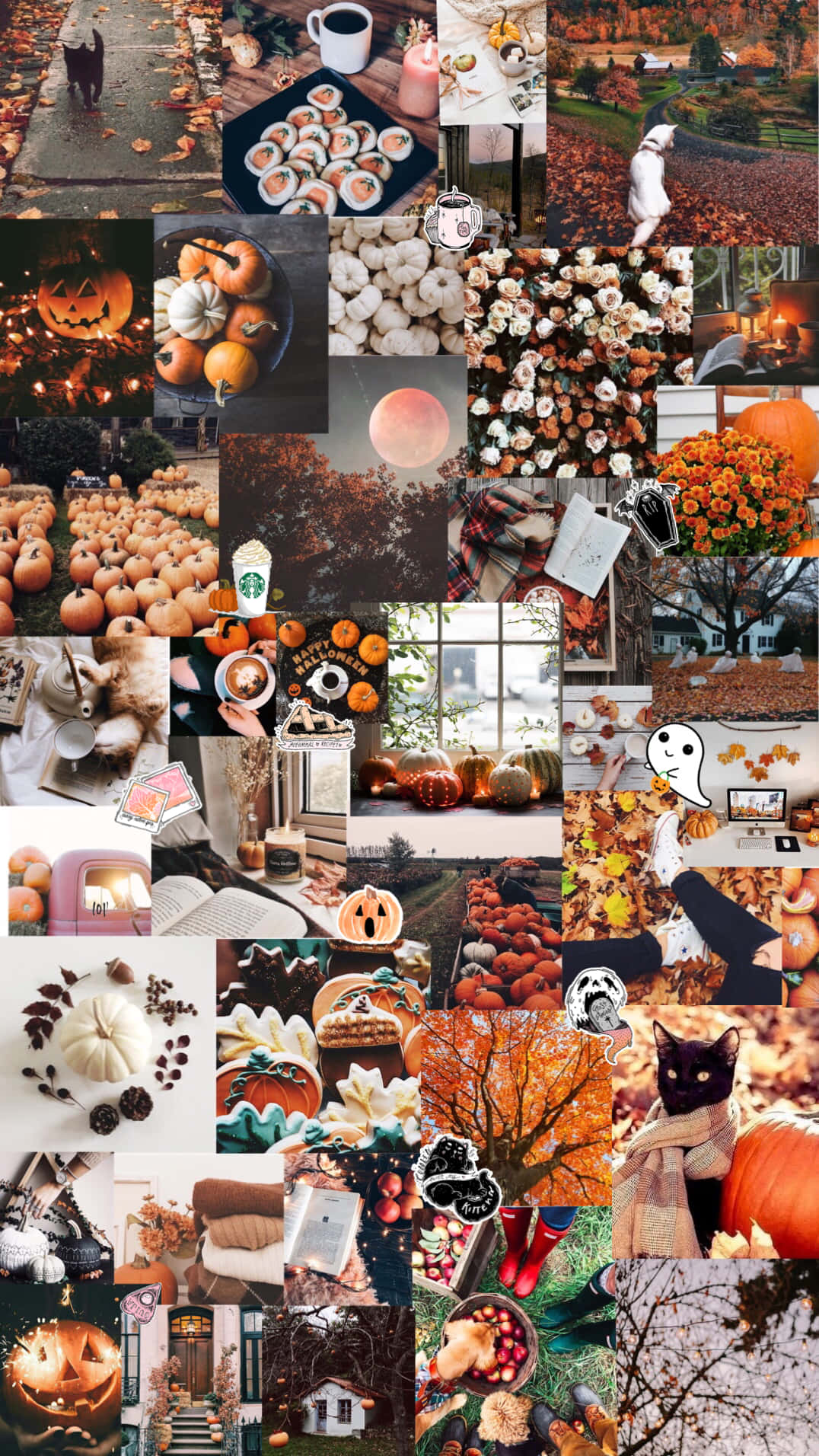 Halloweenestética Chica, Collage Naranja. Fondo de pantalla
