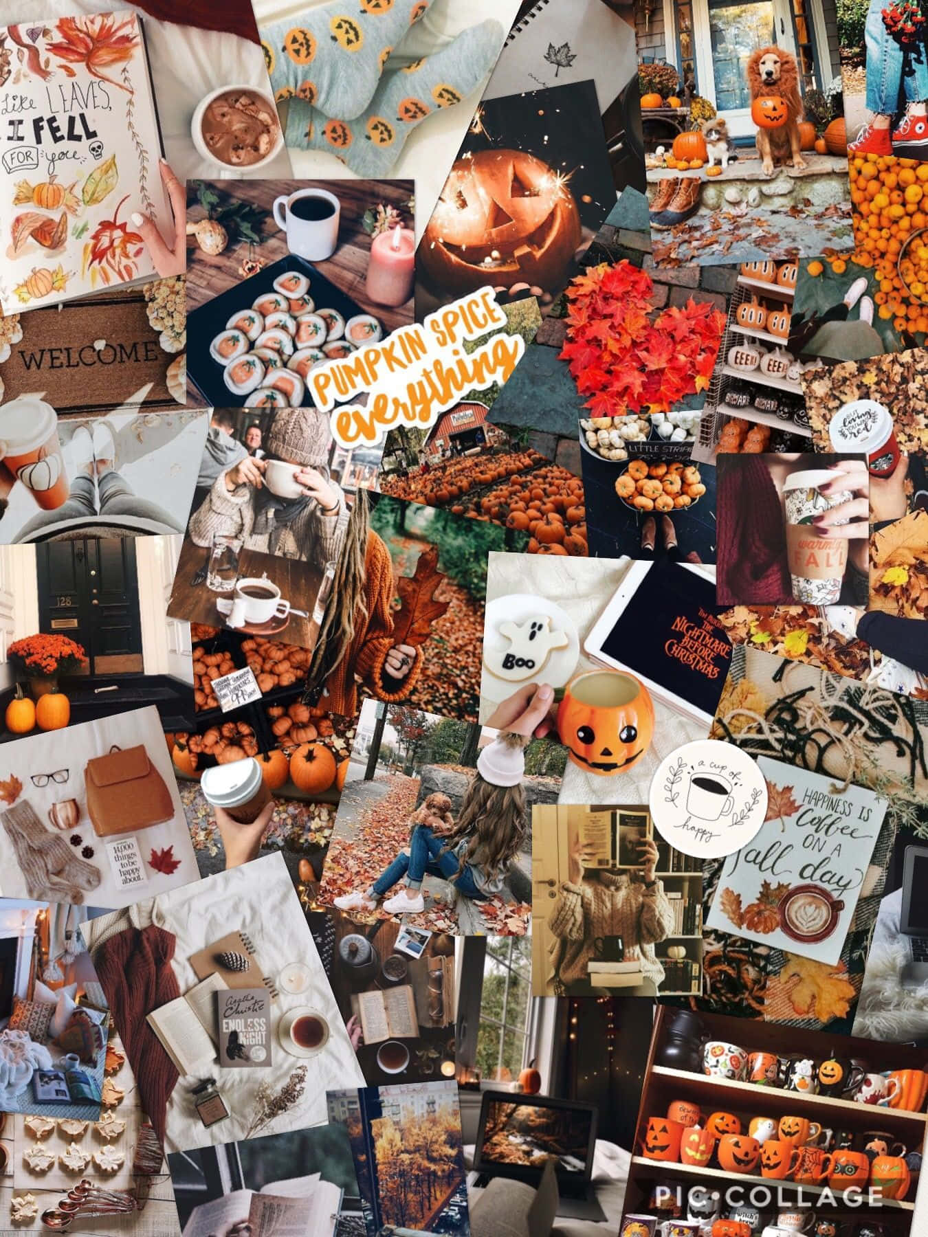 Halloween Aesthetic Girl Theme Display Wallpaper