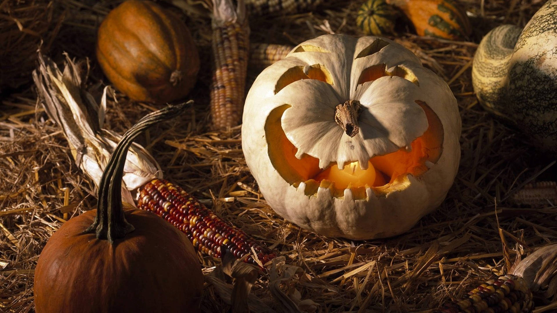 Halloweenestética Para Pc Con Maíz Marrón Y Hierba Fondo de pantalla