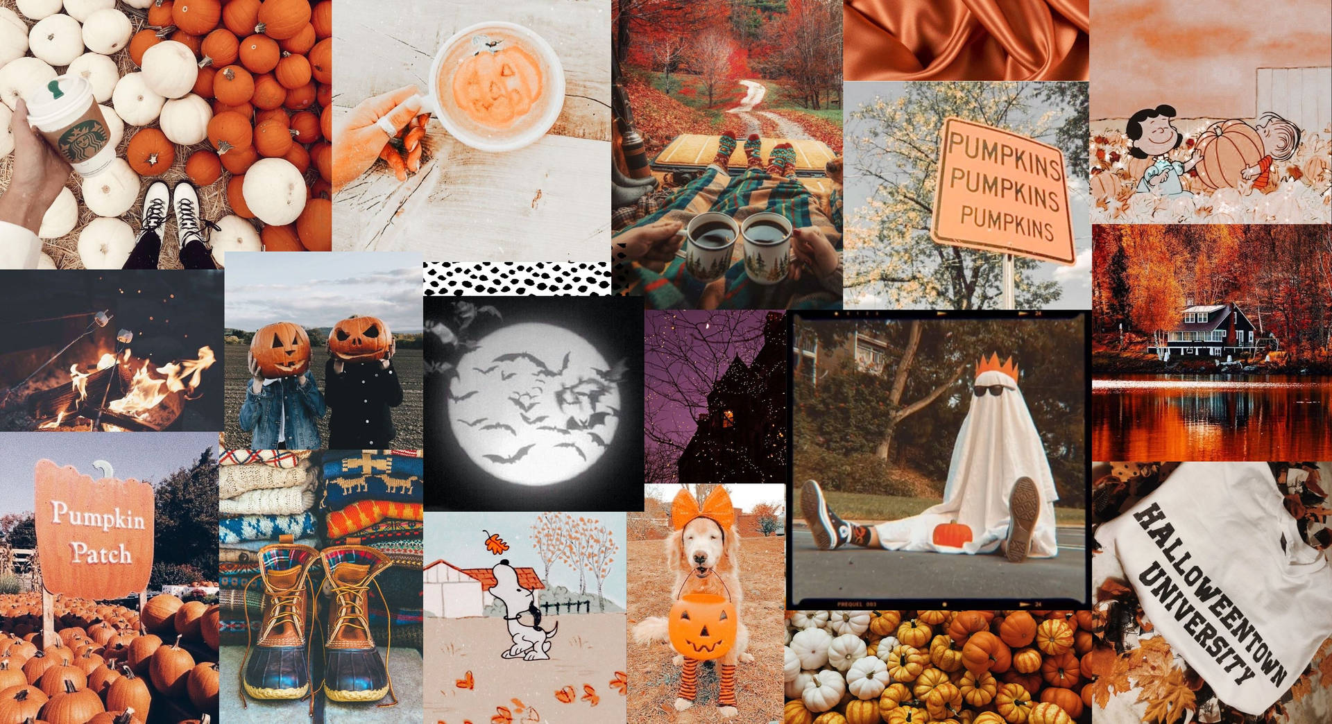 Halloween Aesthetic Pc Photo Compilation Wallpaper