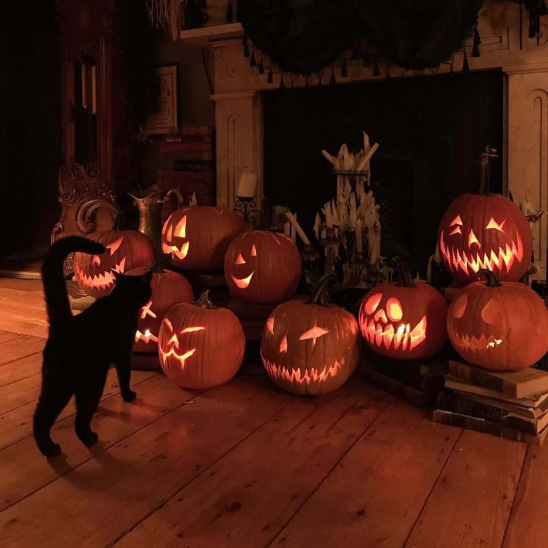 A Cat Standing In Front Of A Group Of Pumpkins