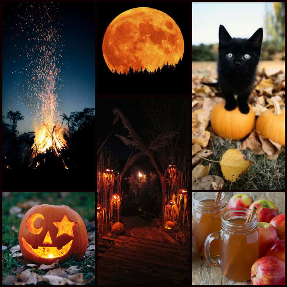 Descubreuna Estética Espeluznante De Halloween Con Iluminación Ambiente, Una Escena Exterior Inquietante Y Un Toque De Misterio.