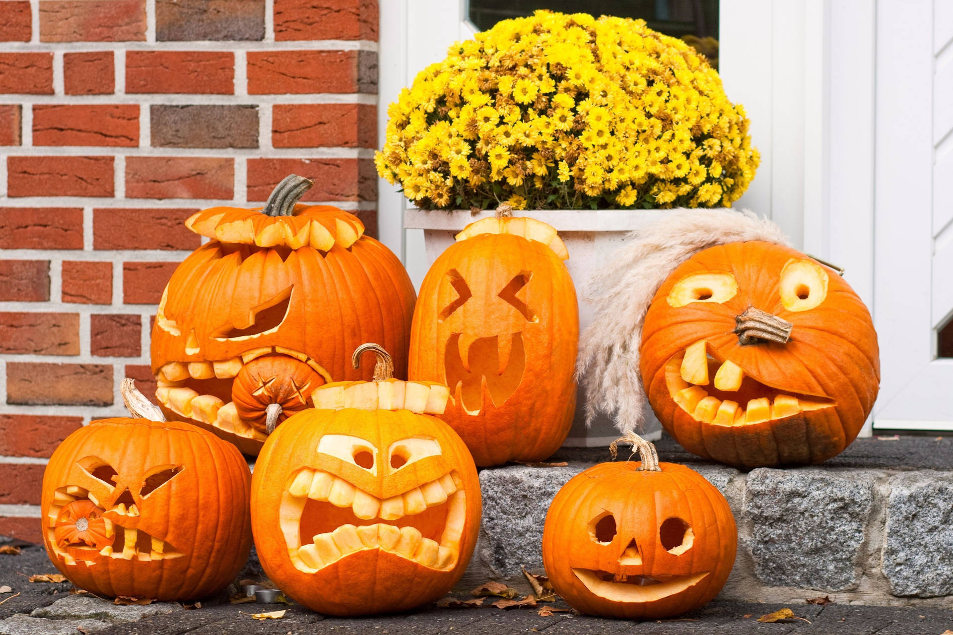 Halloween Aesthetic Pumpkin Faces