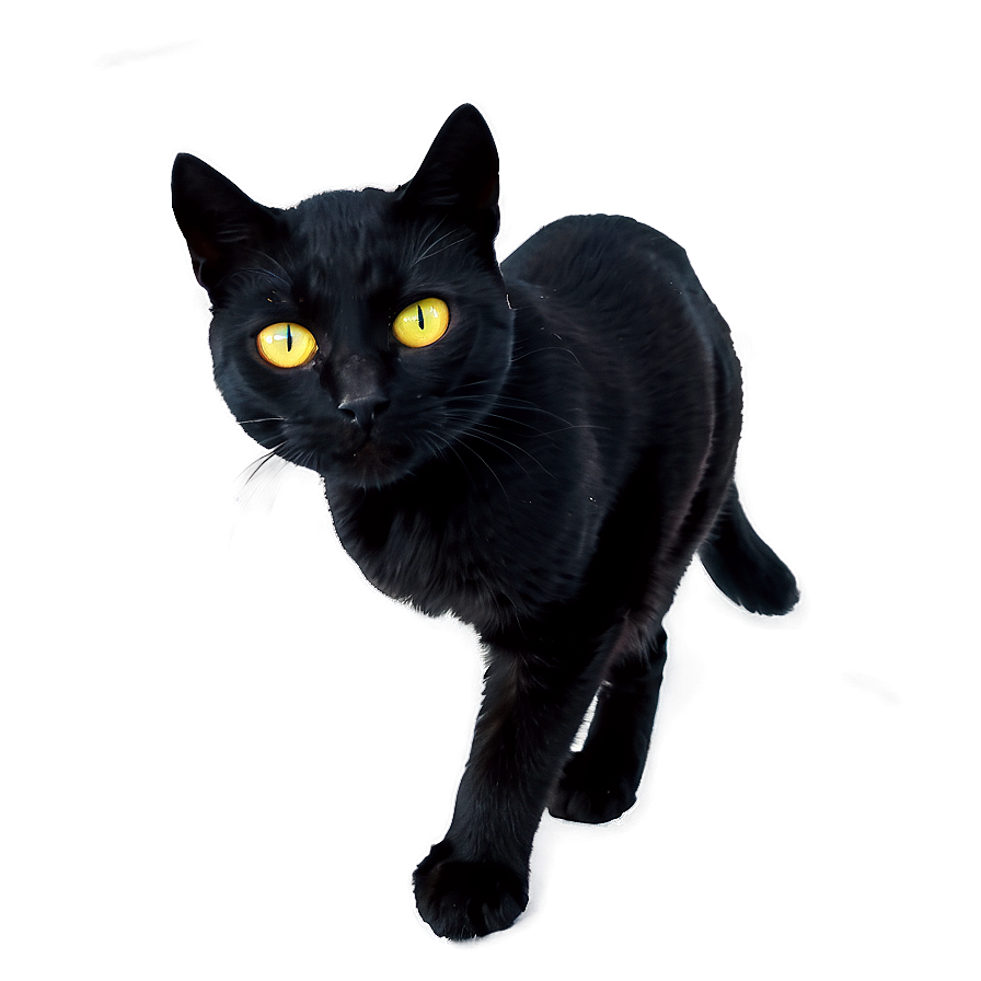 Halloween Black Cat Png 04292024 PNG