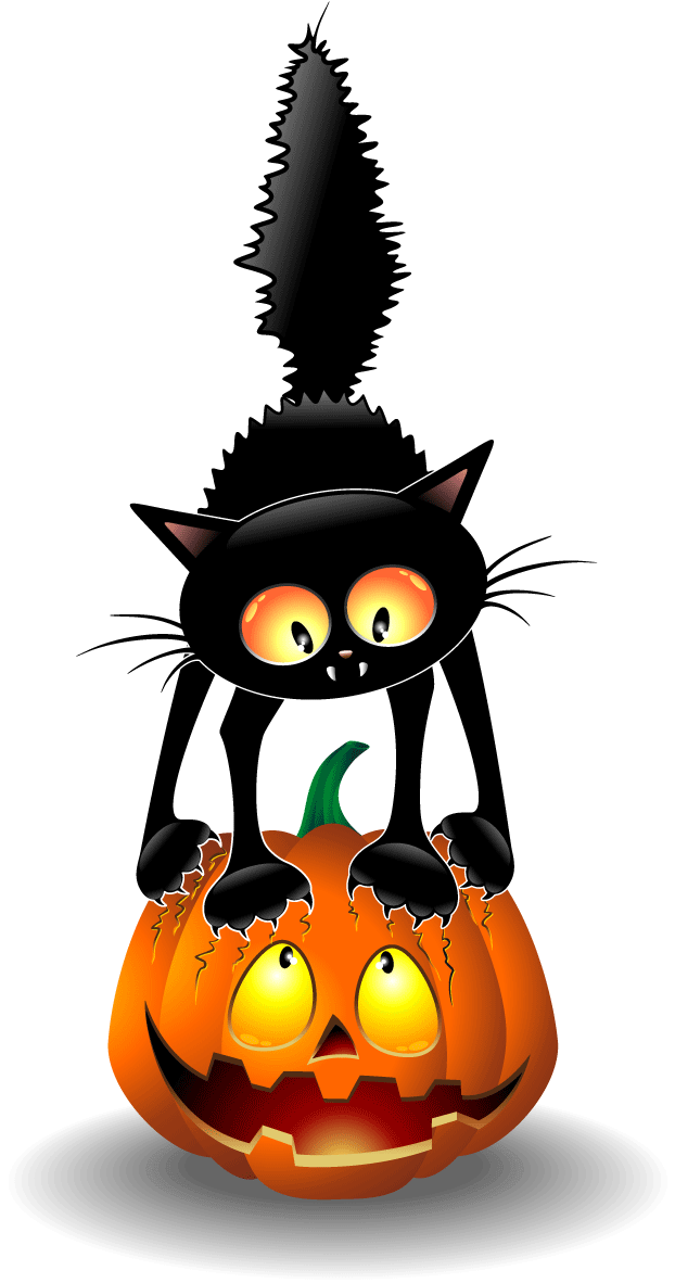 Halloween Black Catand Jack O Lantern PNG