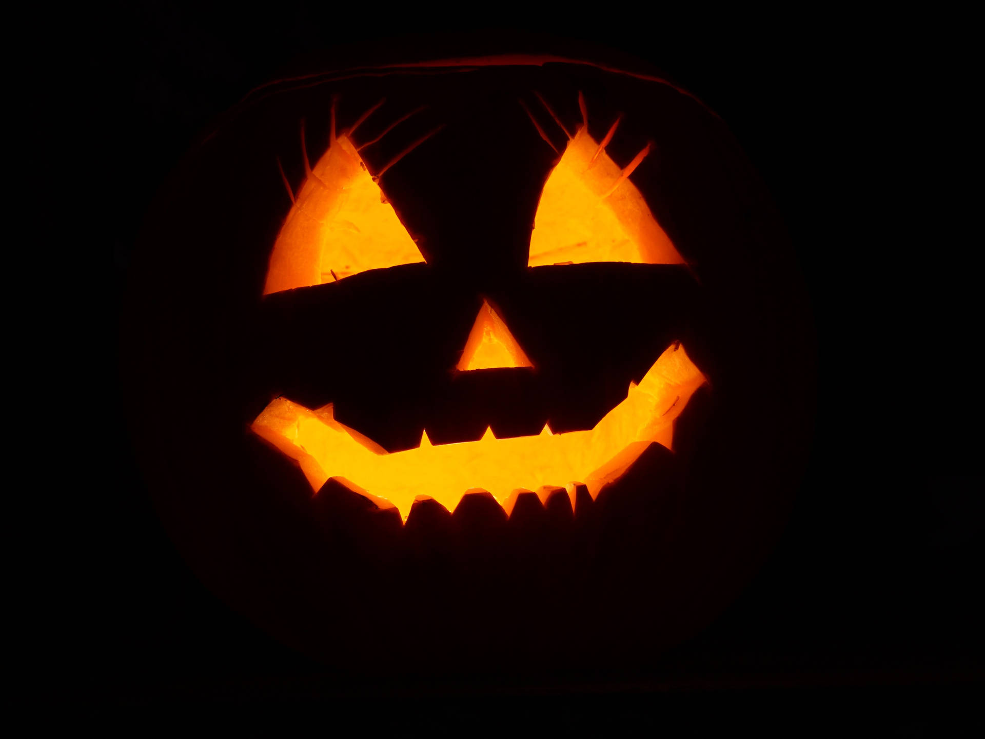 Black pumpkin on a dark room for Halloween all hallows eve,