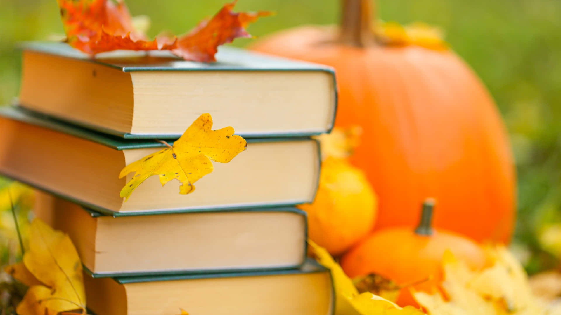 Trick-or-Reading: Don't forget the books this Halloween! Wallpaper
