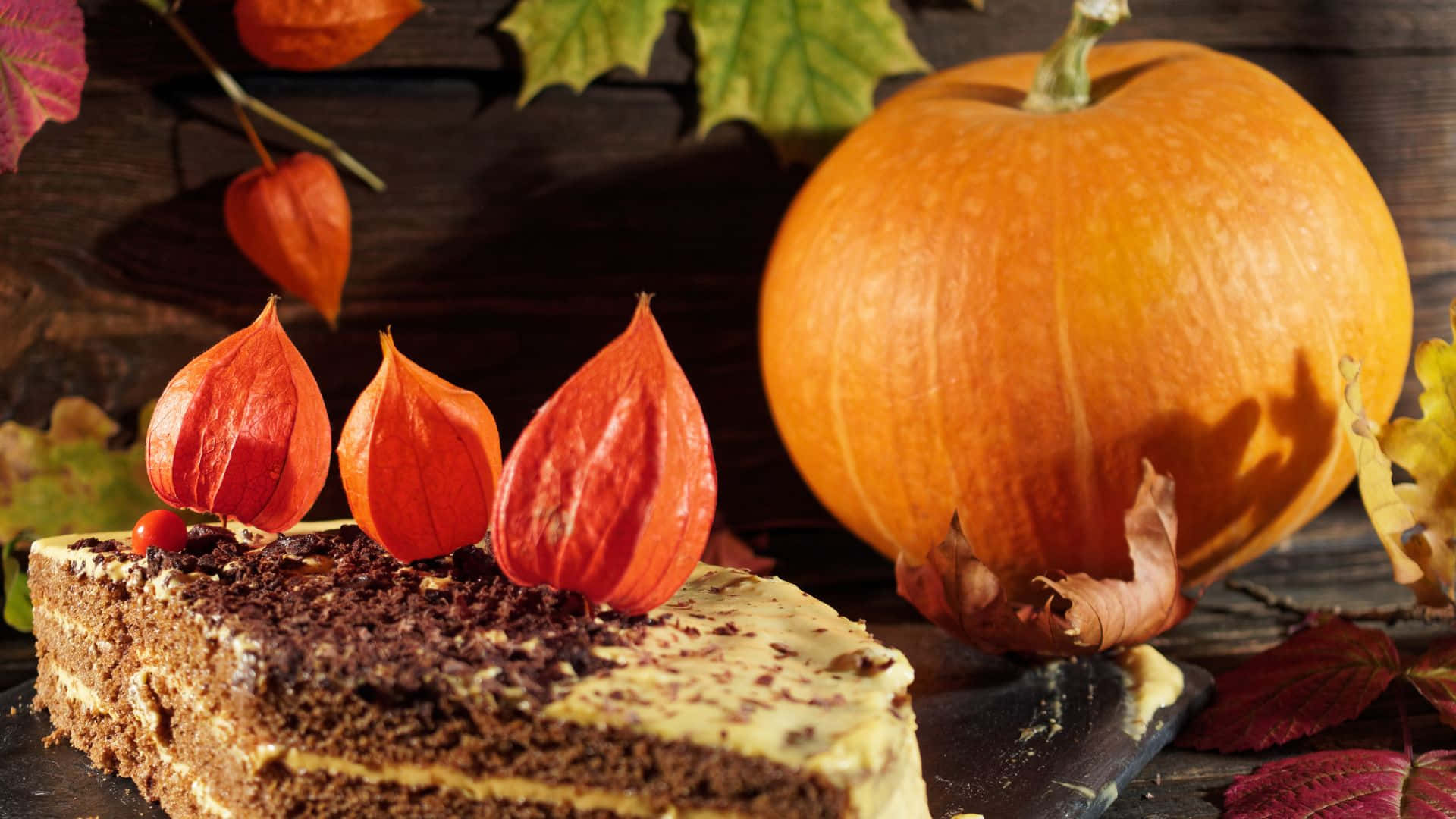 "Enjoy The Sweetest Treat This Halloween With This Delicious Cake!" Wallpaper