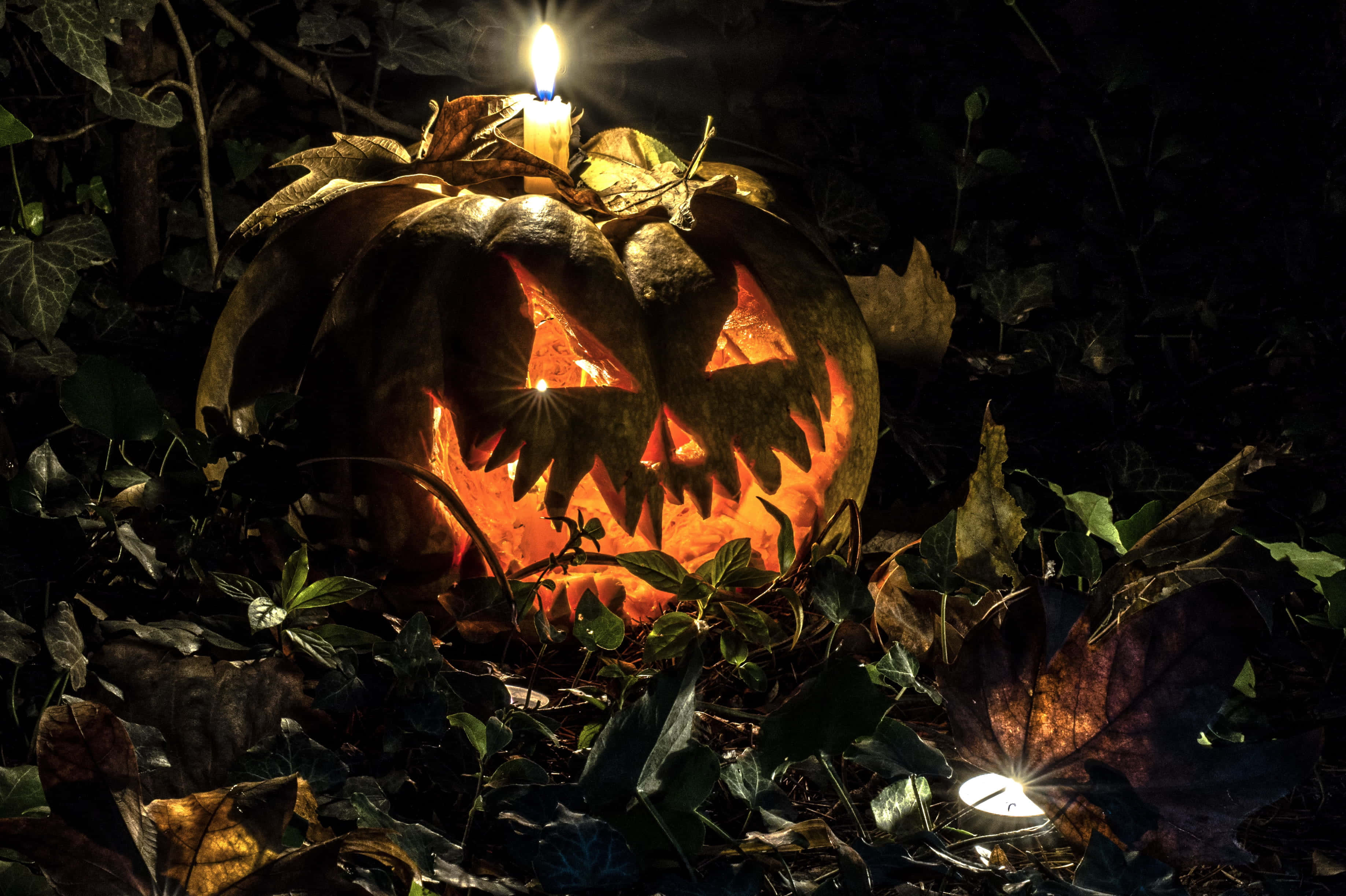 Spooky Candlelit Halloween Wallpaper