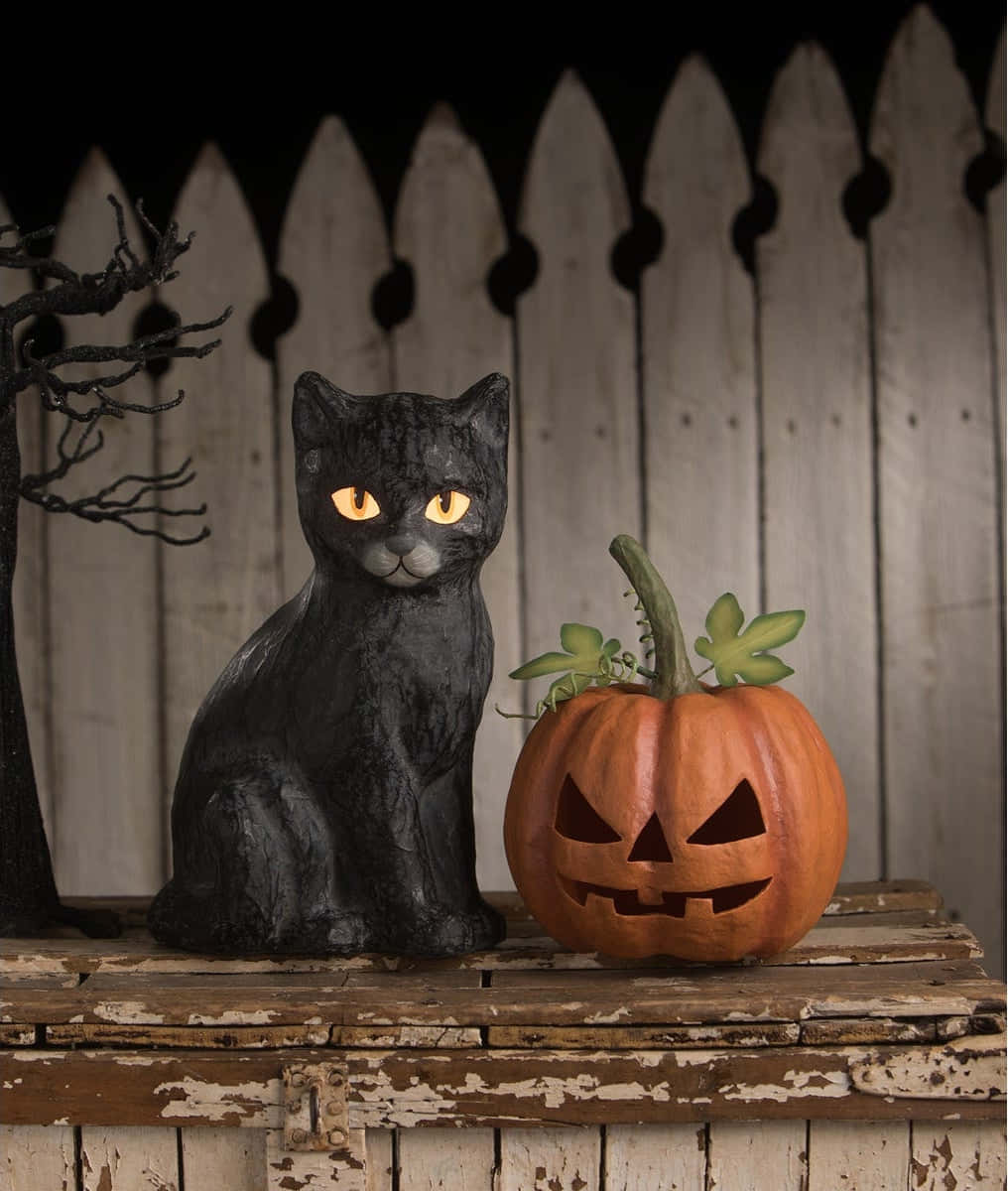 Enuhyggelig Halloween Kat Klar Til At Forhekse. Wallpaper
