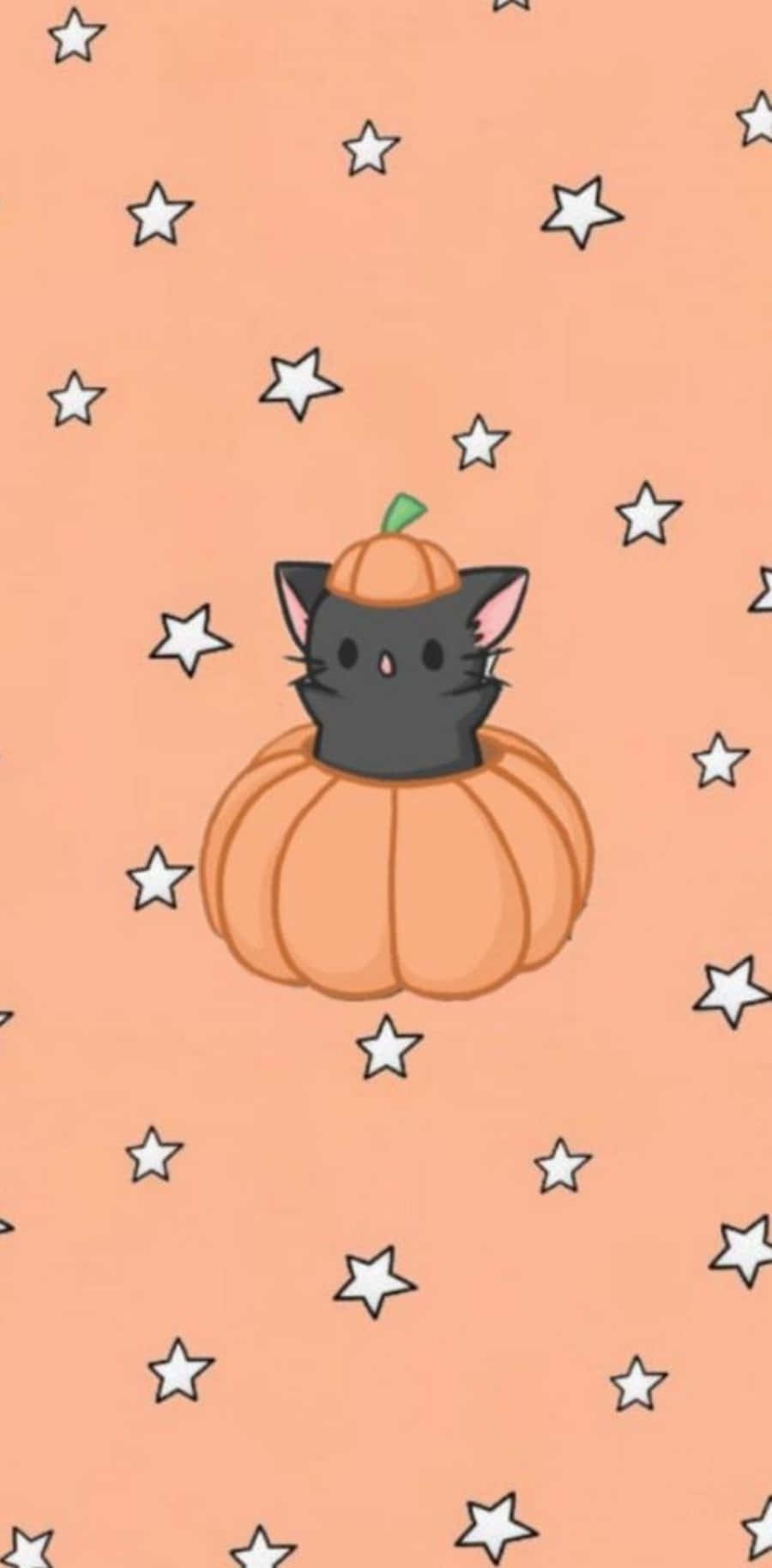 Spooky and cute Halloween cat with orange pumpkin