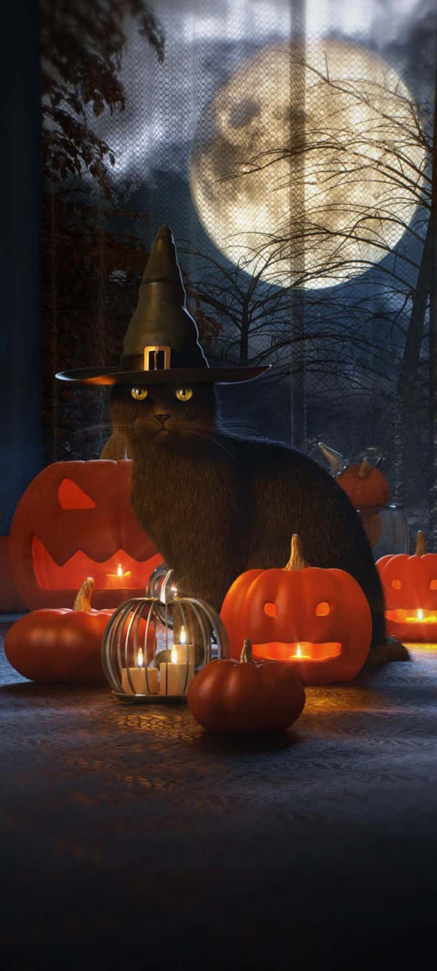 Spooky Kat Ikke Op for Tricks