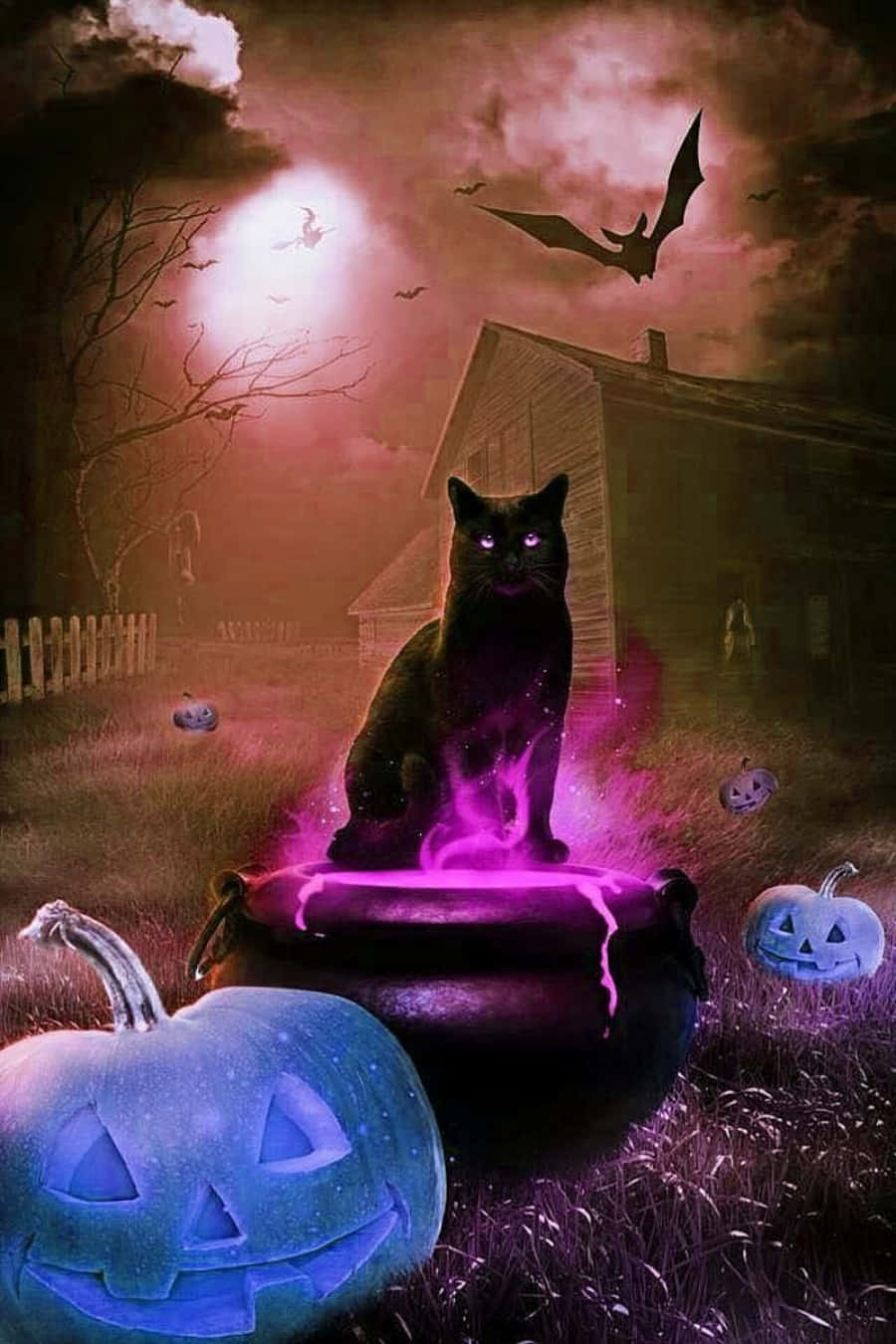 A Black Cat Sitting On A Pot Of Purple Pumpkins