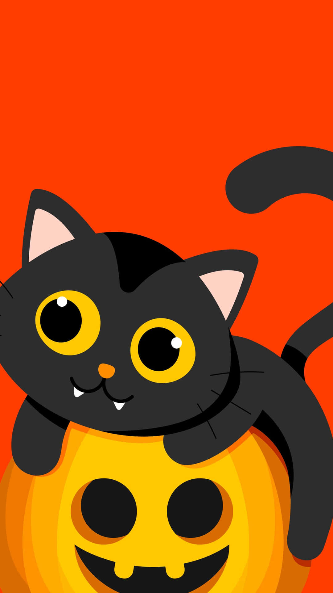 Halloween Cat Pictures 1440 X 2560 Picture