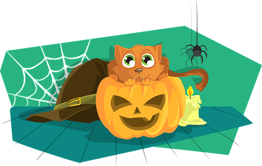 Halloween Catin Pumpkin Cartoon PNG