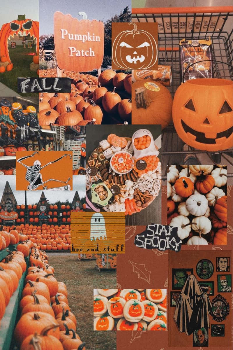 Halloween Collage Herfst Feestelijkheden Achtergrond