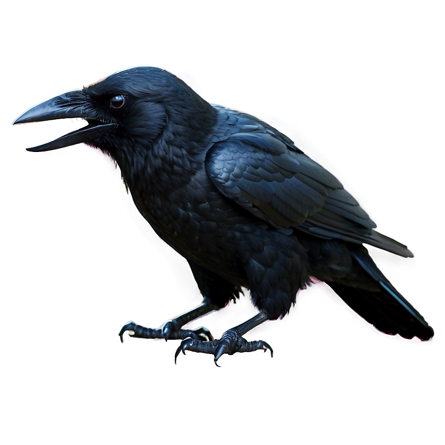 Halloween Crow Png 20 PNG