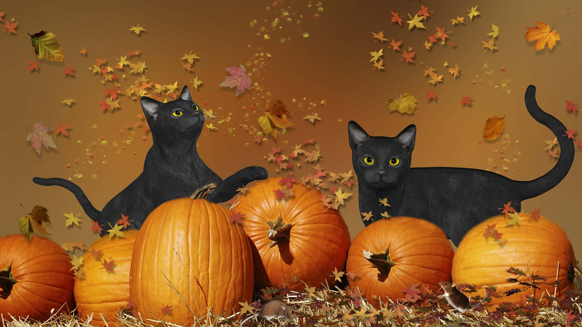 Imagende Lindos Gatos Negros Jugando Con Hojas De Otoño En Halloween.