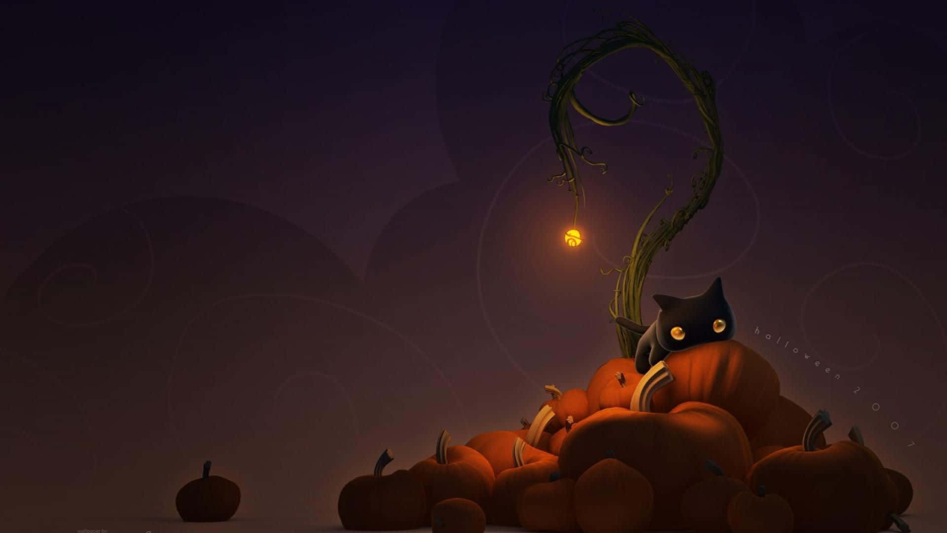 Halloween Cute Black Cat Pumpkin Pile Picture