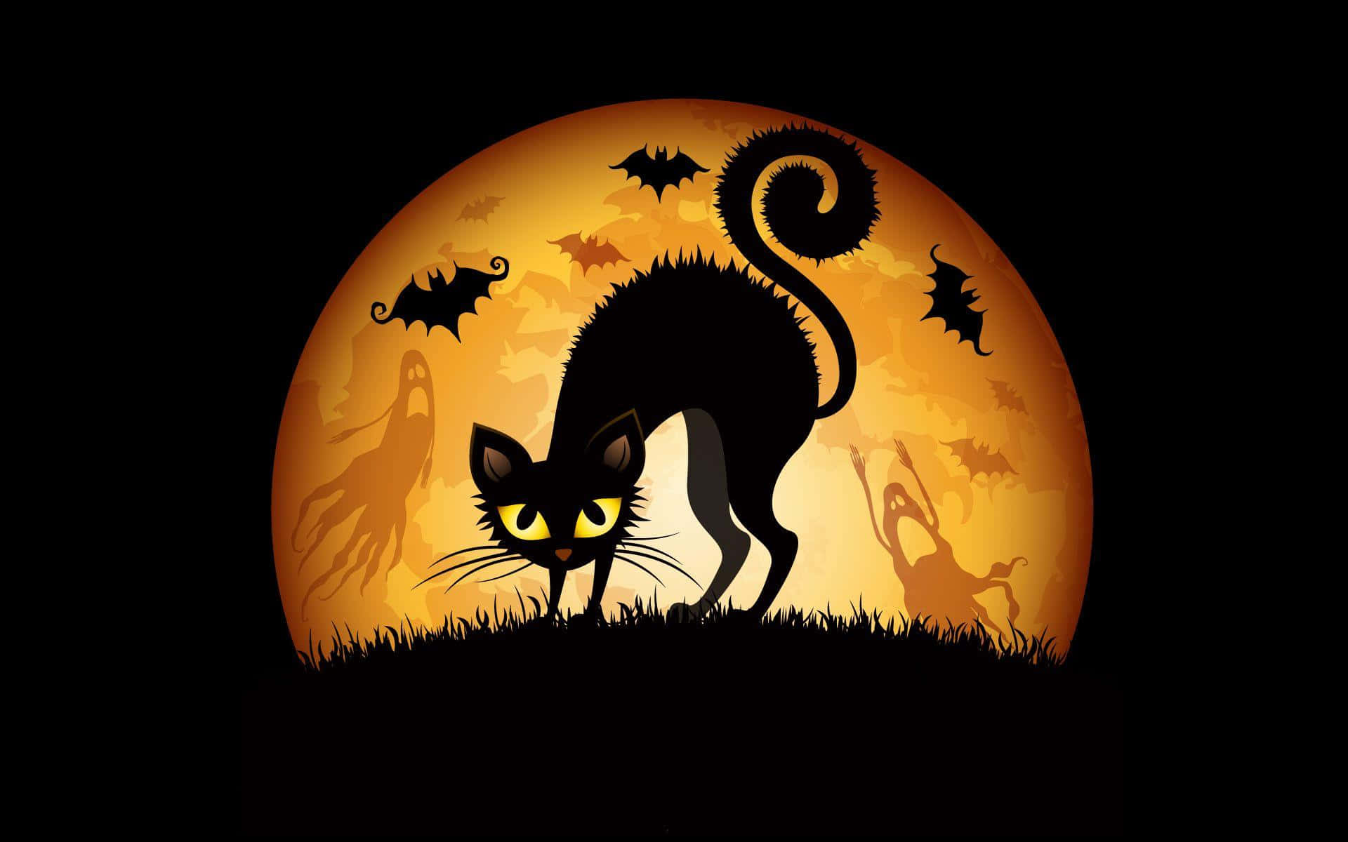 Imagende Un Lindo Gato Negro Asustado Para Halloween