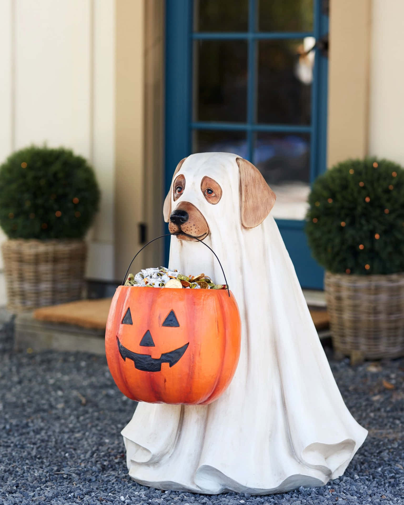 Halloween Dog Ghost Costumewith Pumpkin Wallpaper