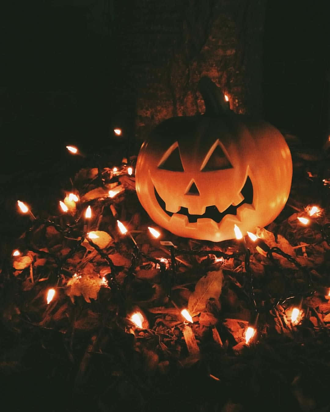 Halloween Fal Pumpkin Lys Billede Tapet