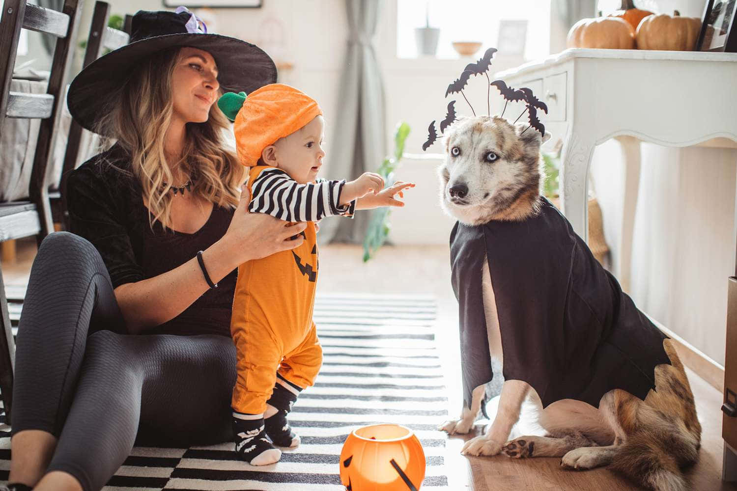 Halloween Familywith Costumed Dogand Baby Wallpaper
