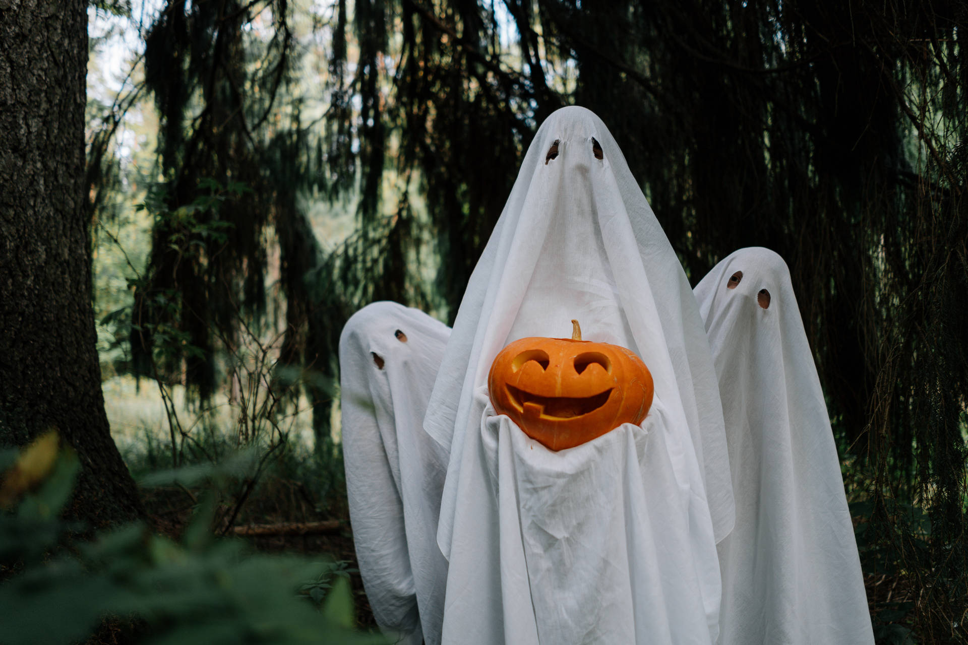 Halloween Ghosts Laptop Photo