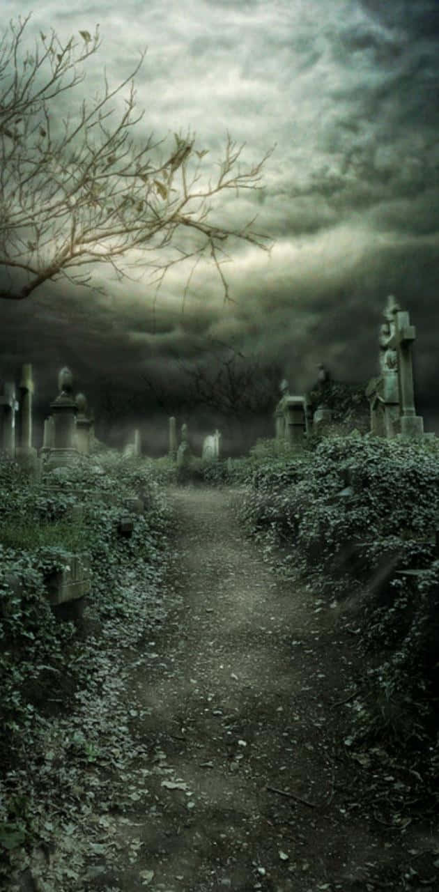 Explore the mysteries of the spooky night in this Halloween graveyard. Wallpaper