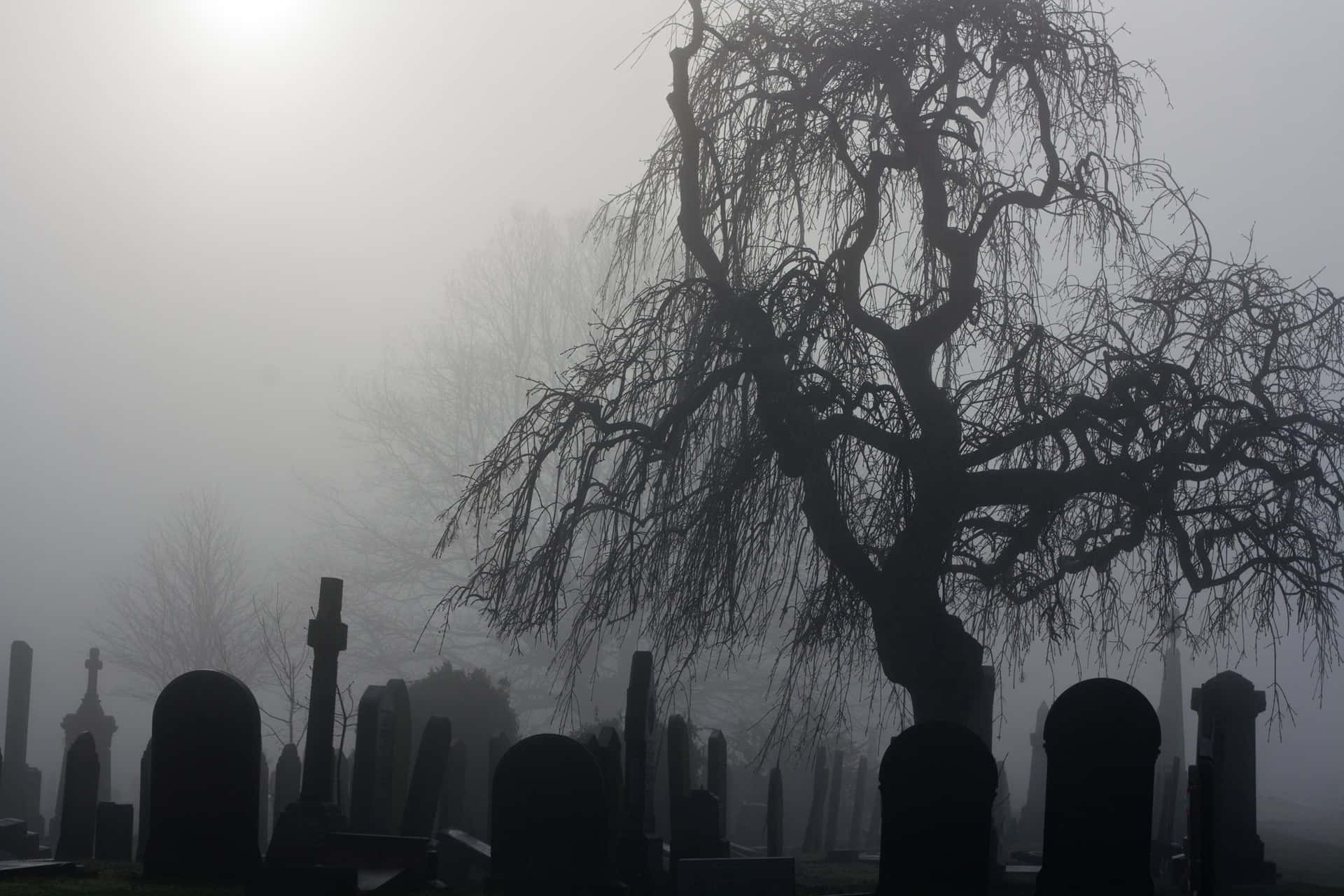 Spooky Halloween Night in a Haunted Graveyard Wallpaper