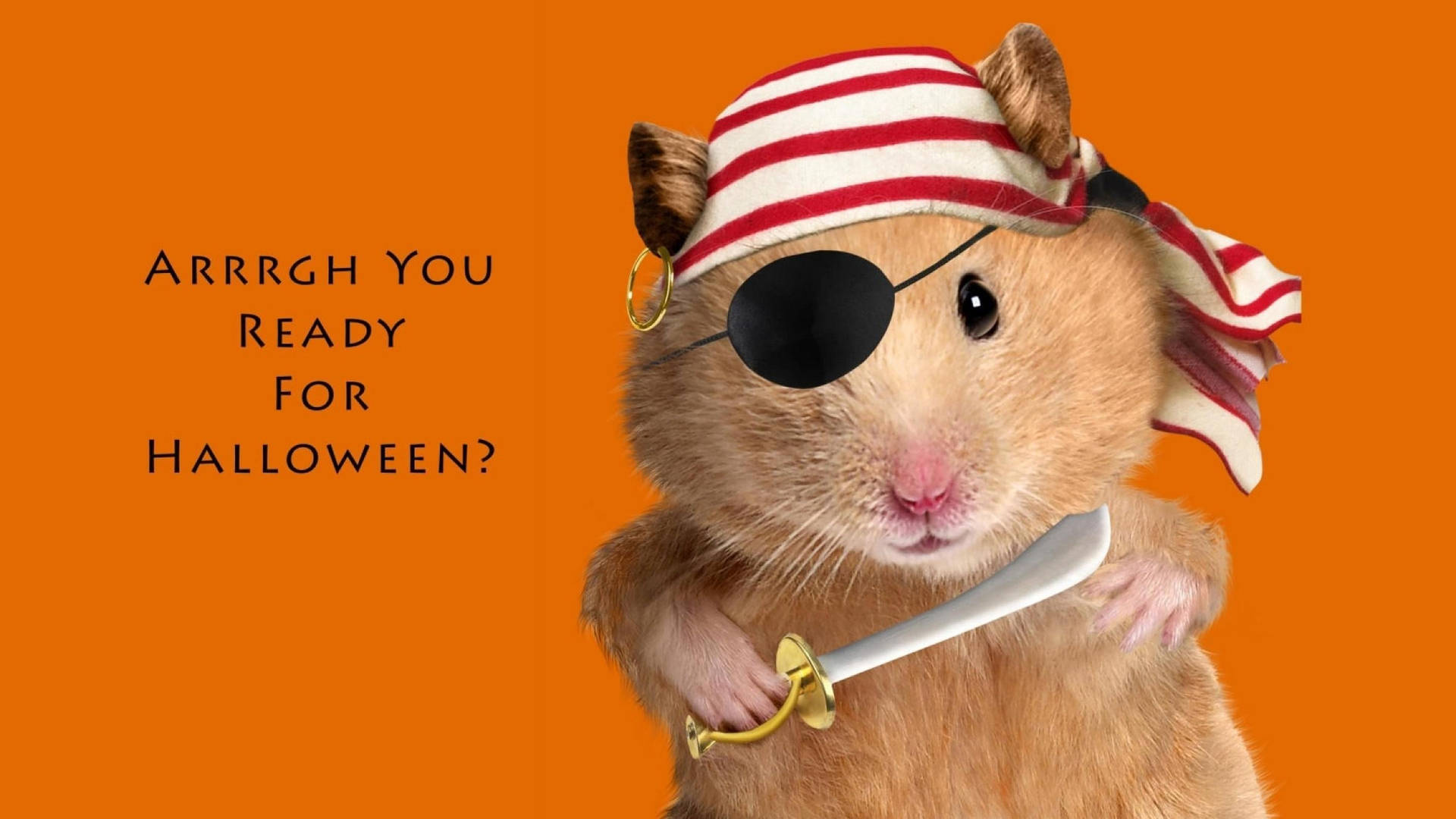Halloween Hamster Meme