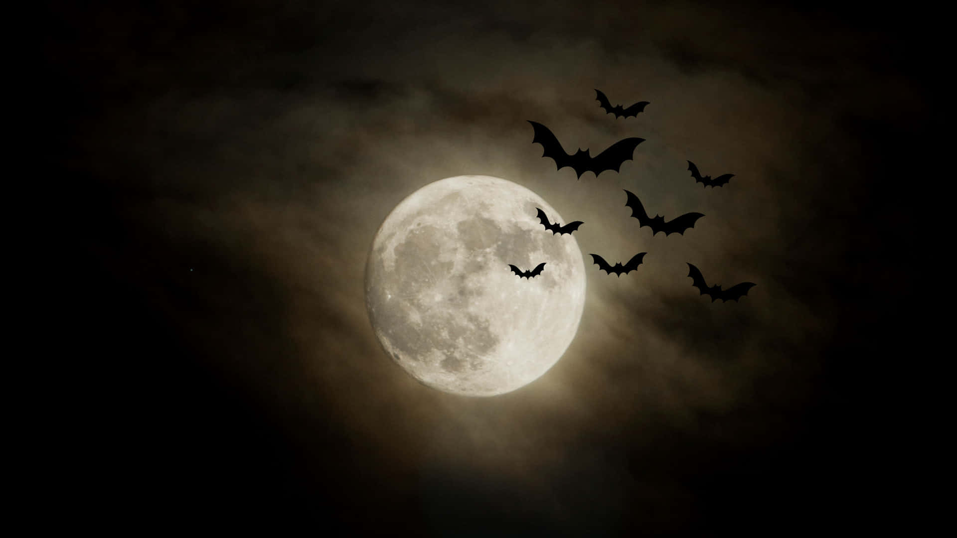 Halloween_ Night_ Bats_and_ Full_ Moon Wallpaper
