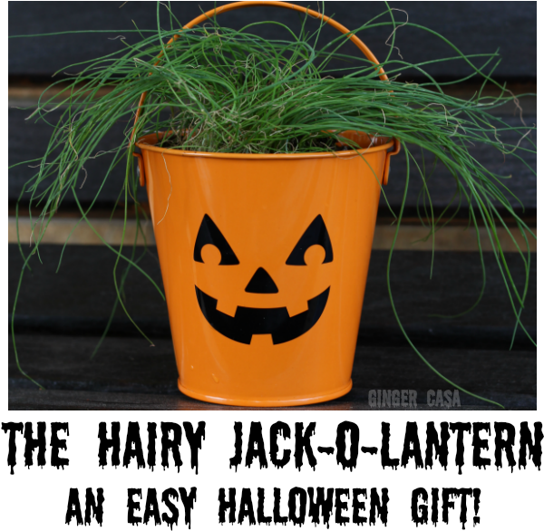 Halloween Plant Pot Jack O Lantern PNG