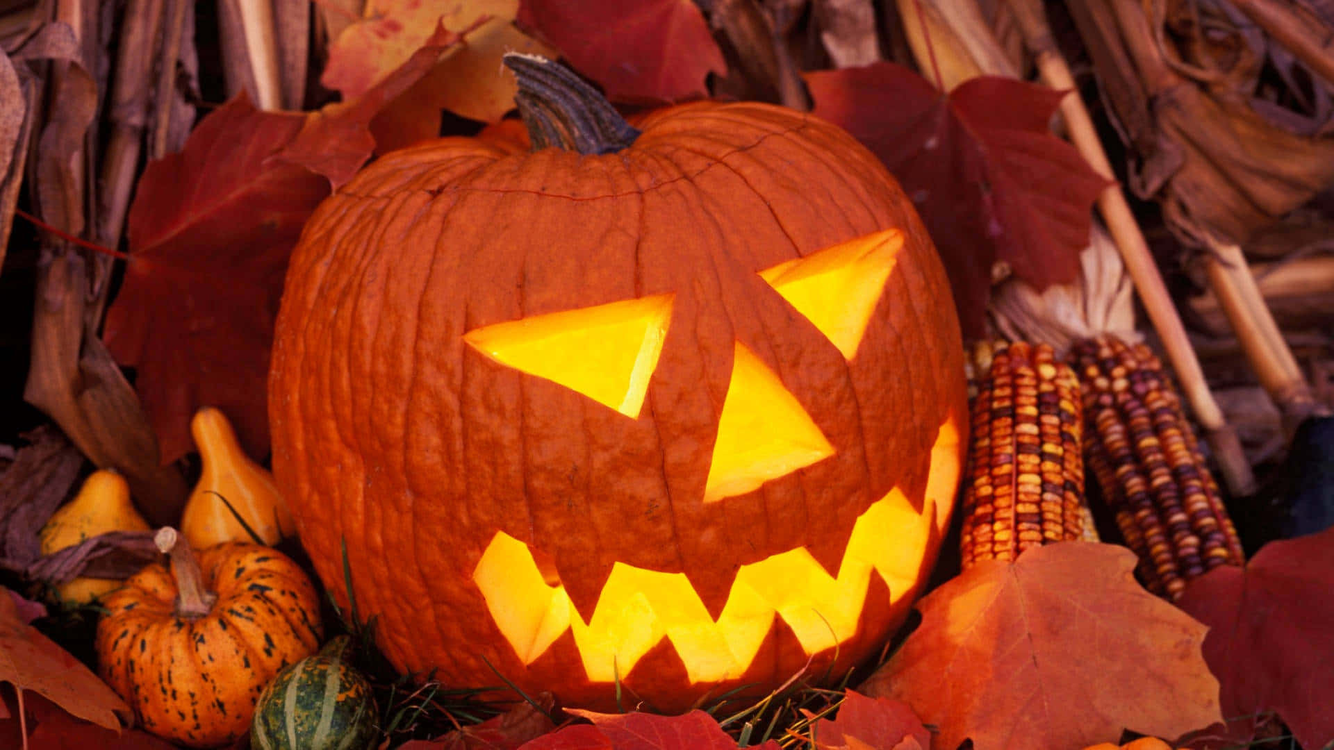 Haen Skrämmande Halloween Med Din Dator Eller Mobilskärm!