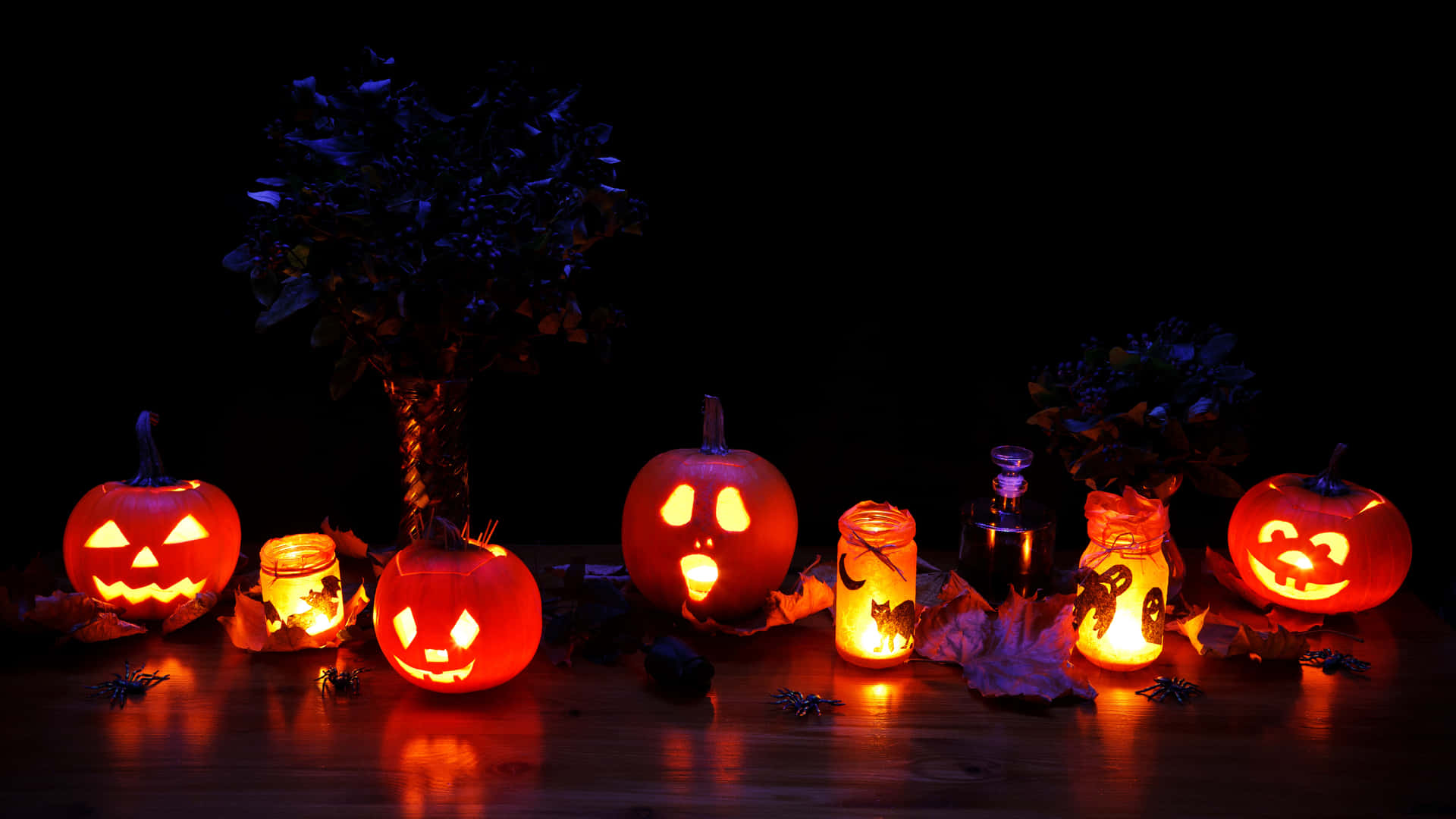 Spookify Your Halloween with these Festive Props Wallpaper