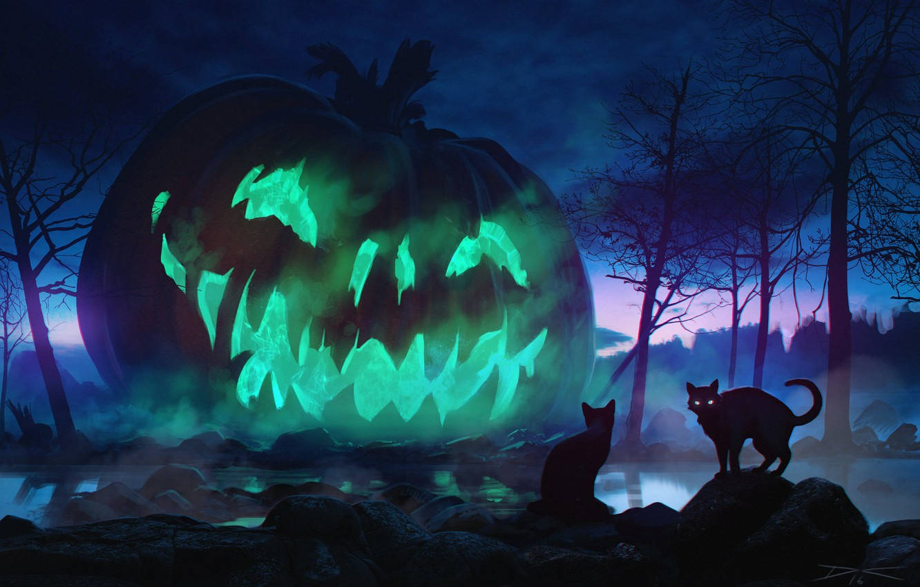 A Green Pumpkin With A Cat In The Background Wallpaper