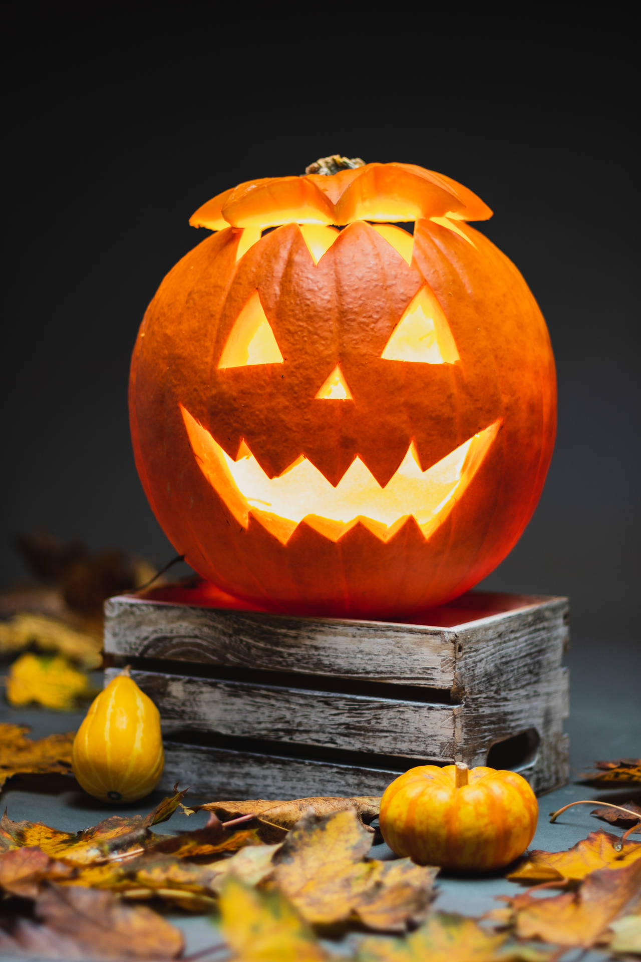 Image  A Halloween pumpkin, ready for spooky festivities! Wallpaper