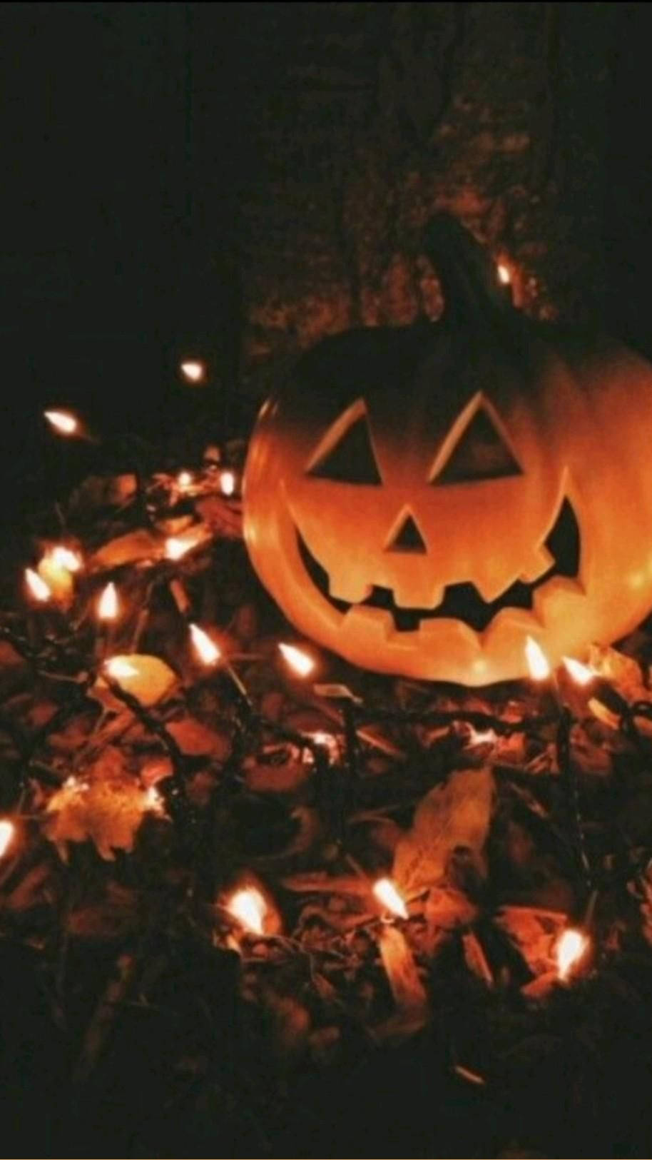Celebrate Halloween with a Festive Jack-o'-Lantern Wallpaper