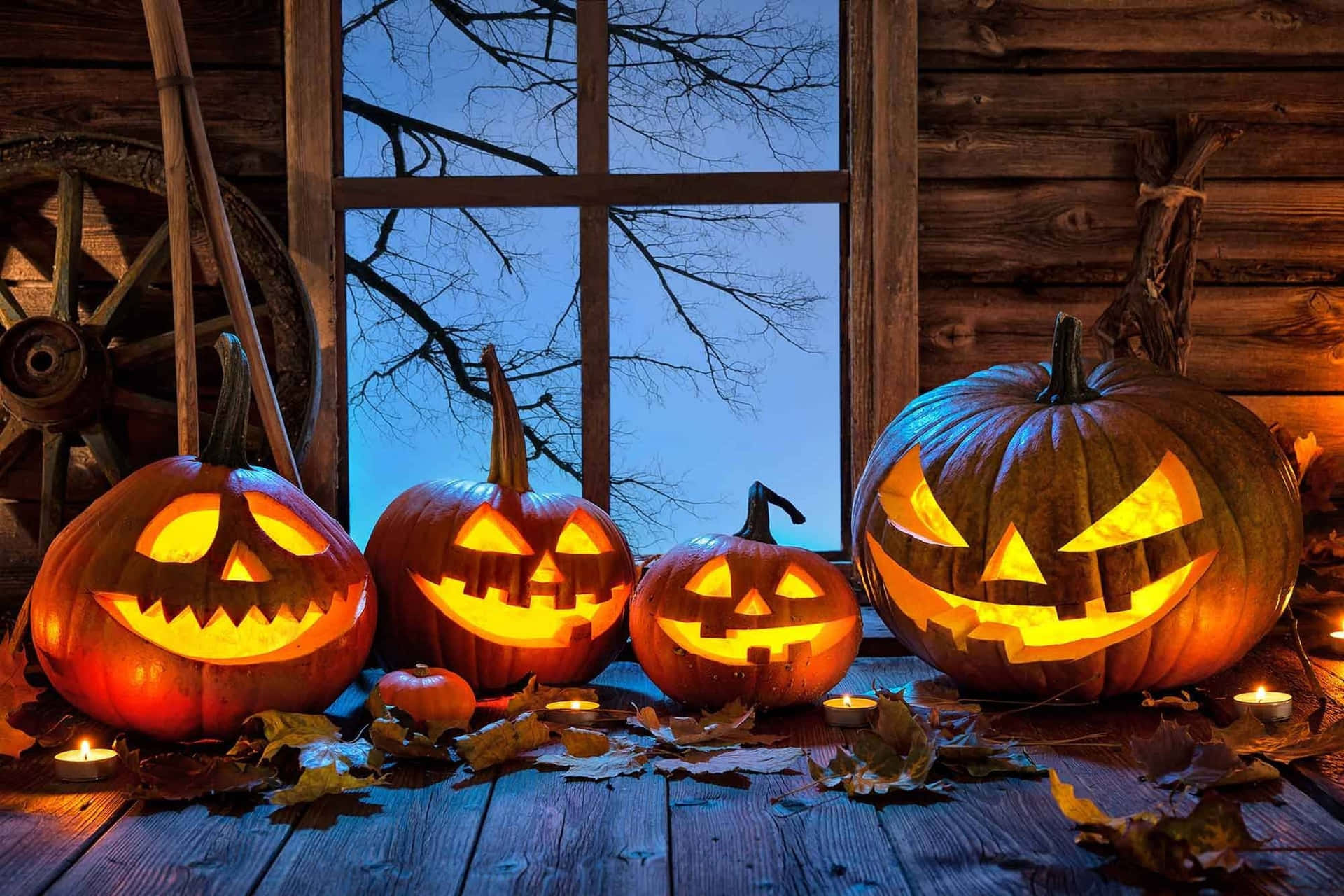 Halloween Pumpkins Background Leaves Window