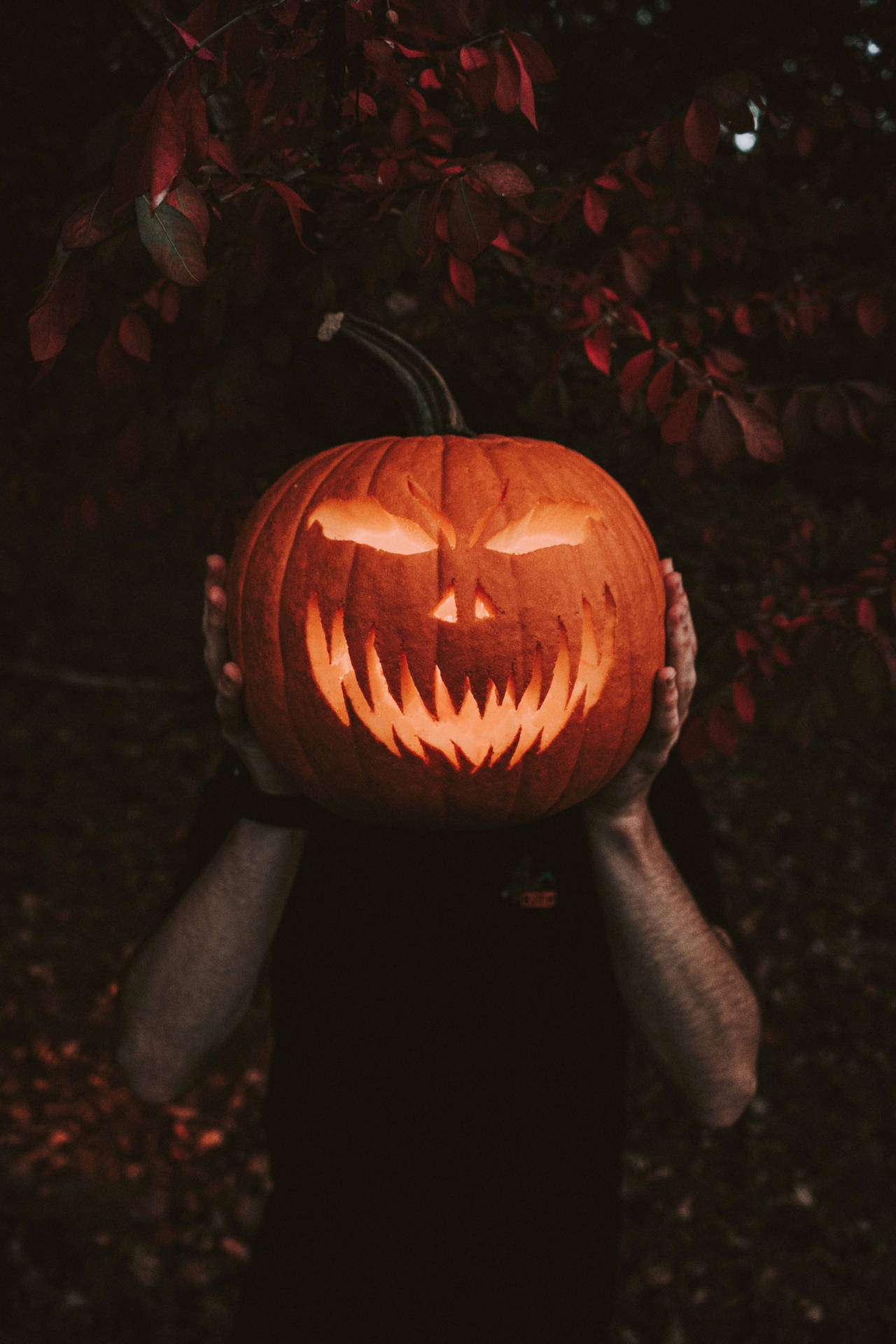 Halloween Pumpkin Cell Phone Image