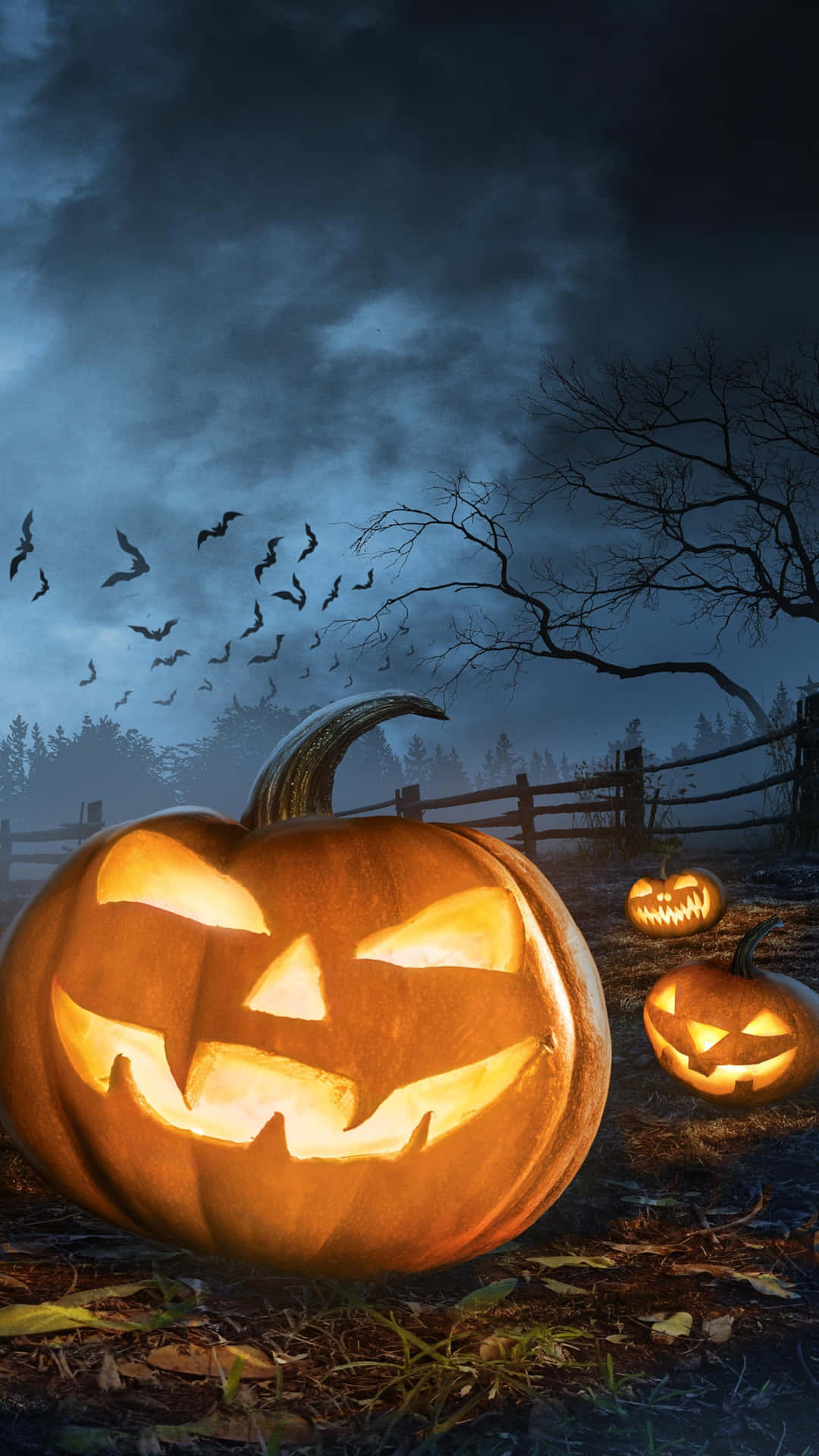 Halloween Pumpkin Glow Night Scene Wallpaper