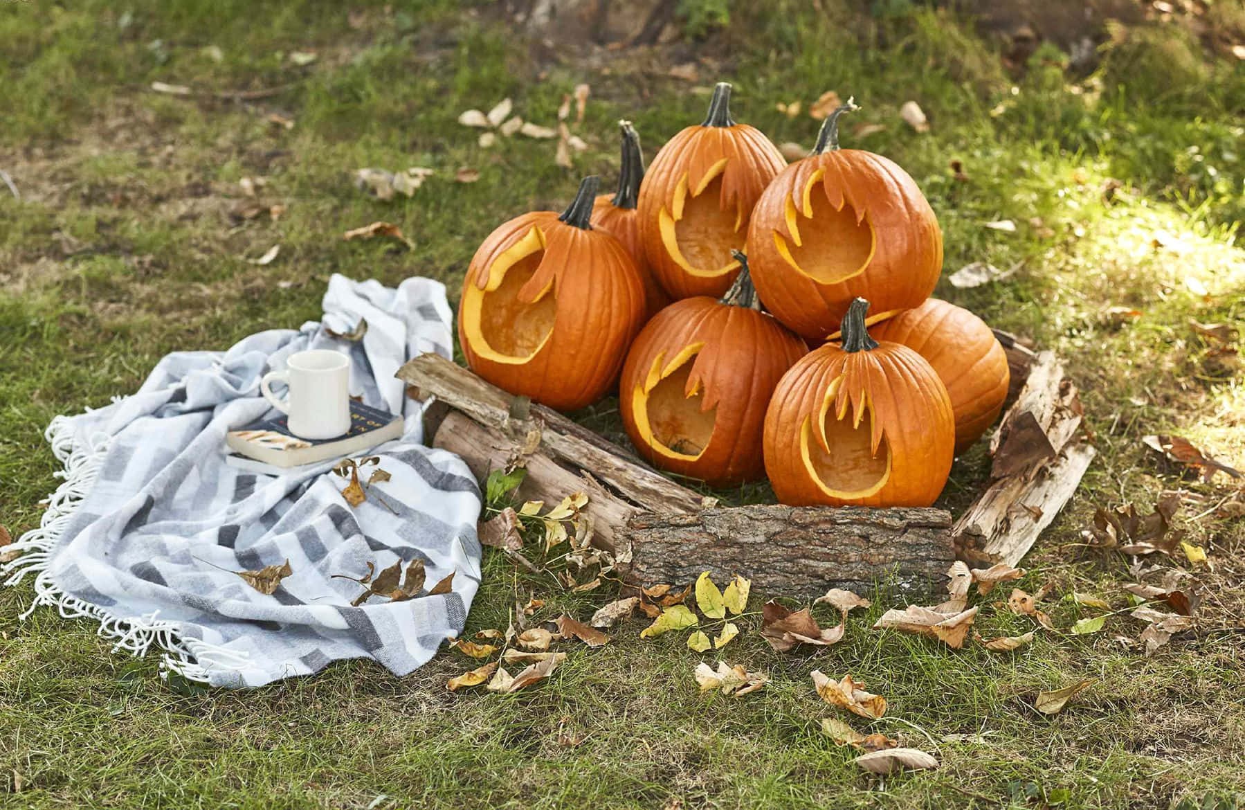 Halloween Pumpkin Fire Carving Picture