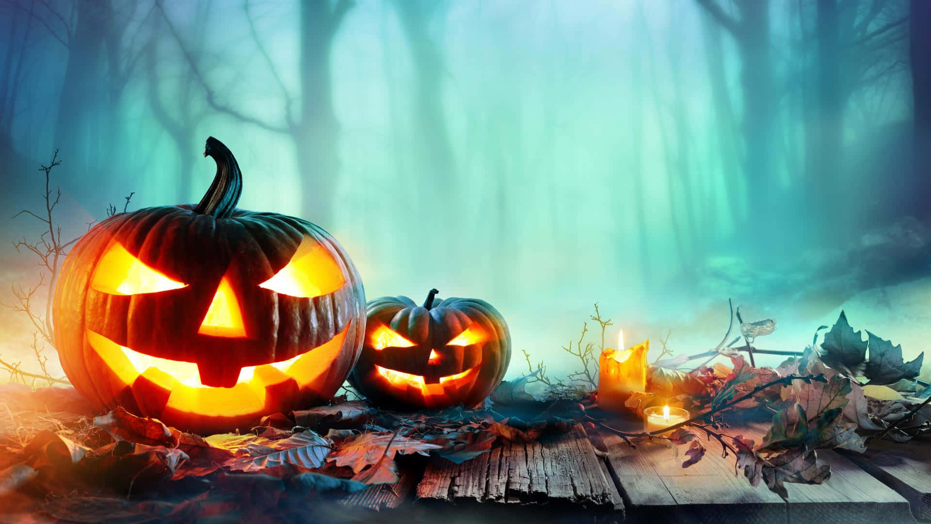 Halloween Spooky Pumpkin Forest Picture