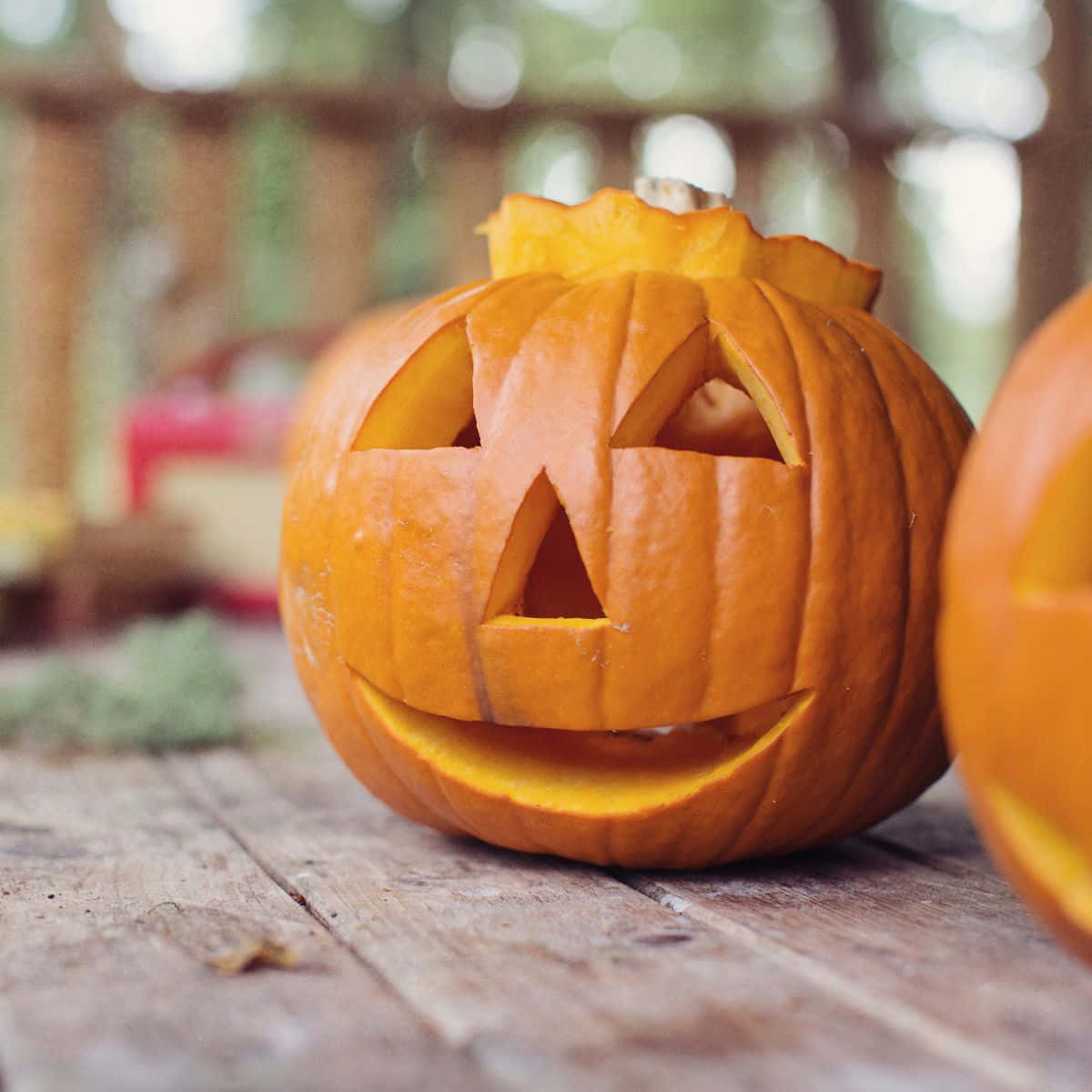 Download Halloween Pumpkin Pretty Carving Picture | Wallpapers.com