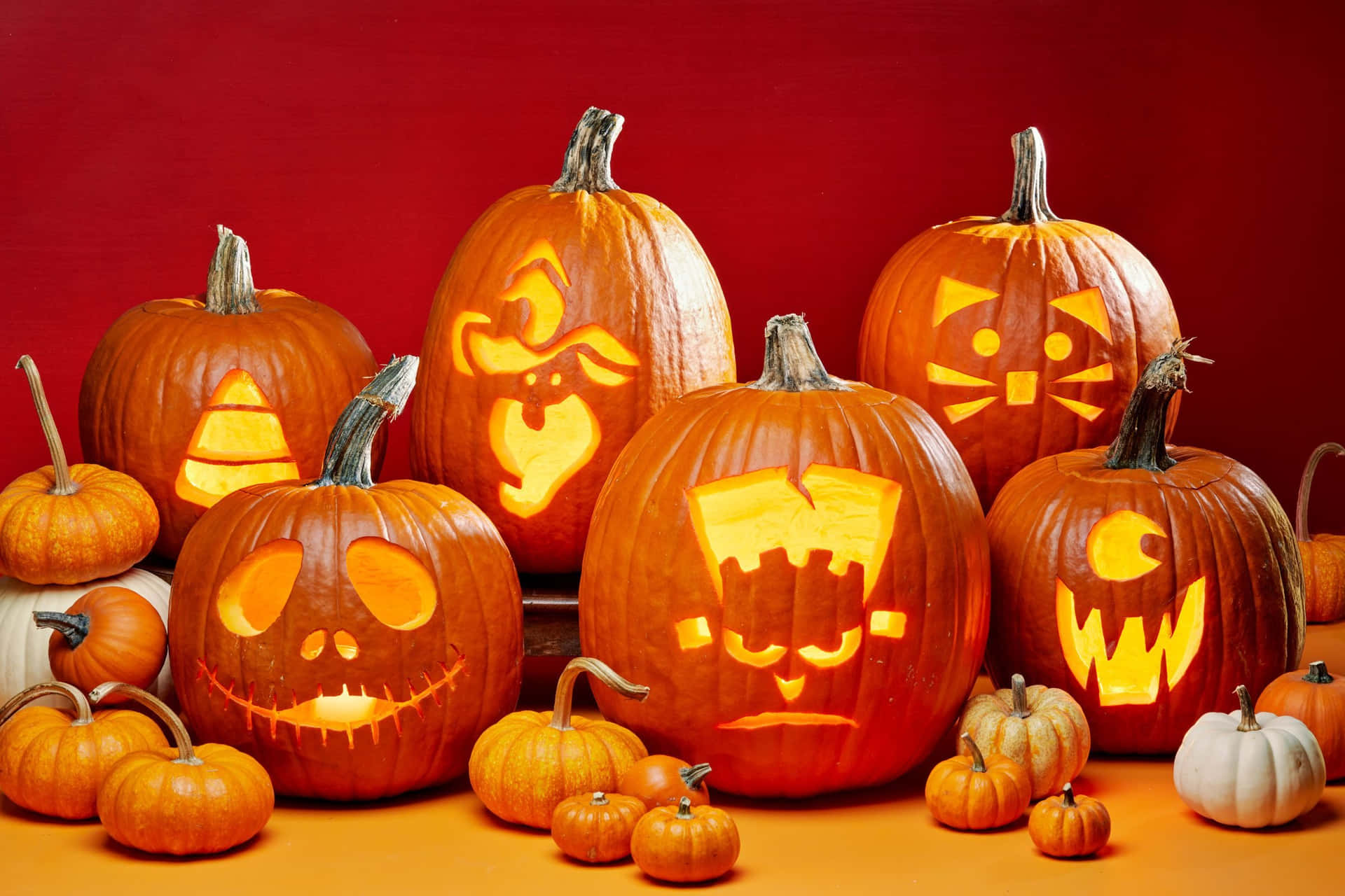Halloween Pumpkin Cool CarvingsPicture